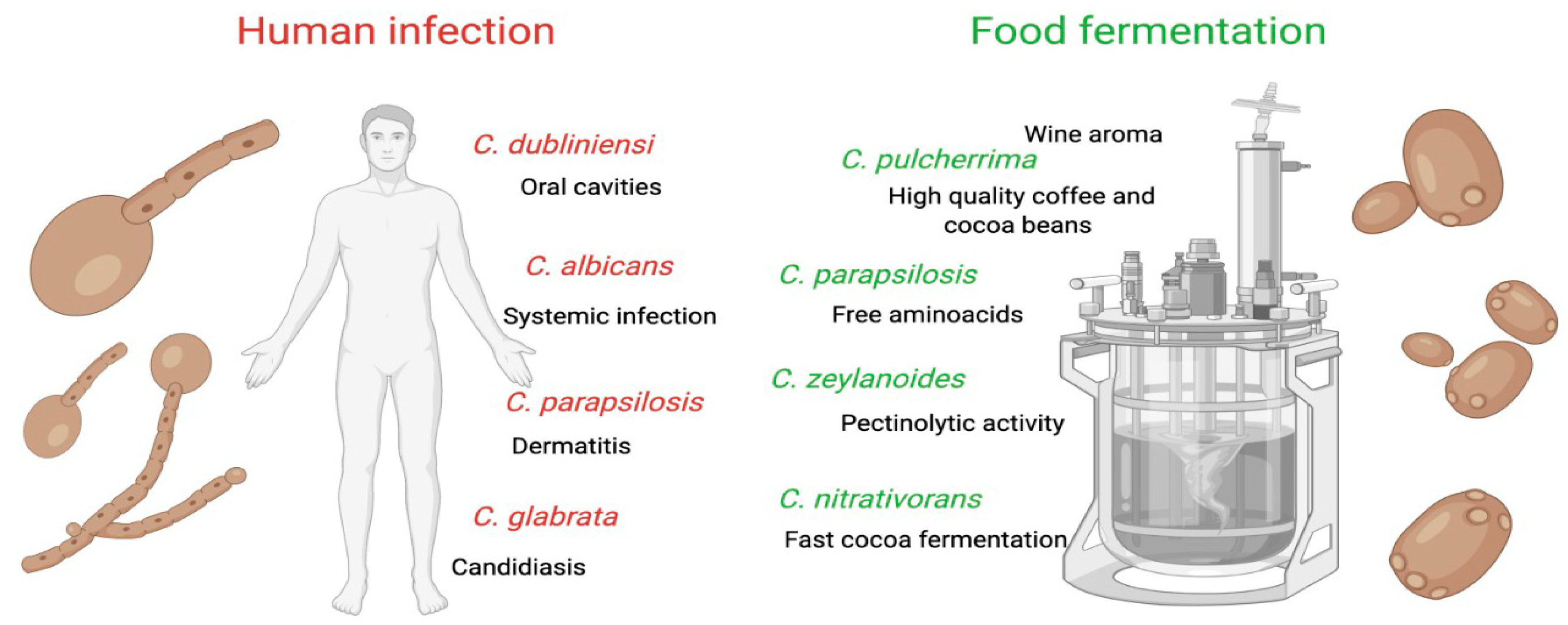 Microorganisms 10 01855 g001