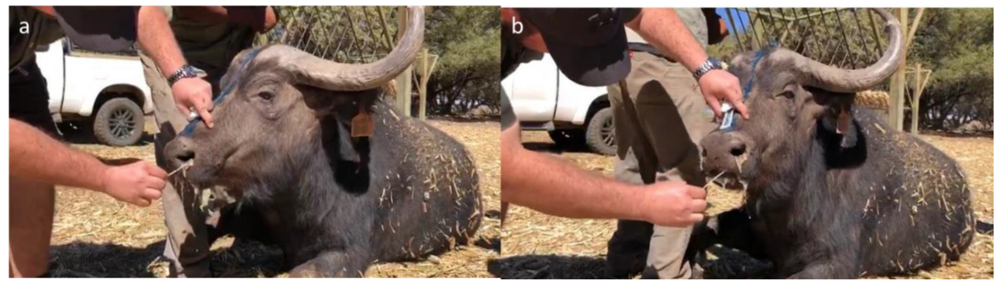 Microorganisms 10 01861 g002