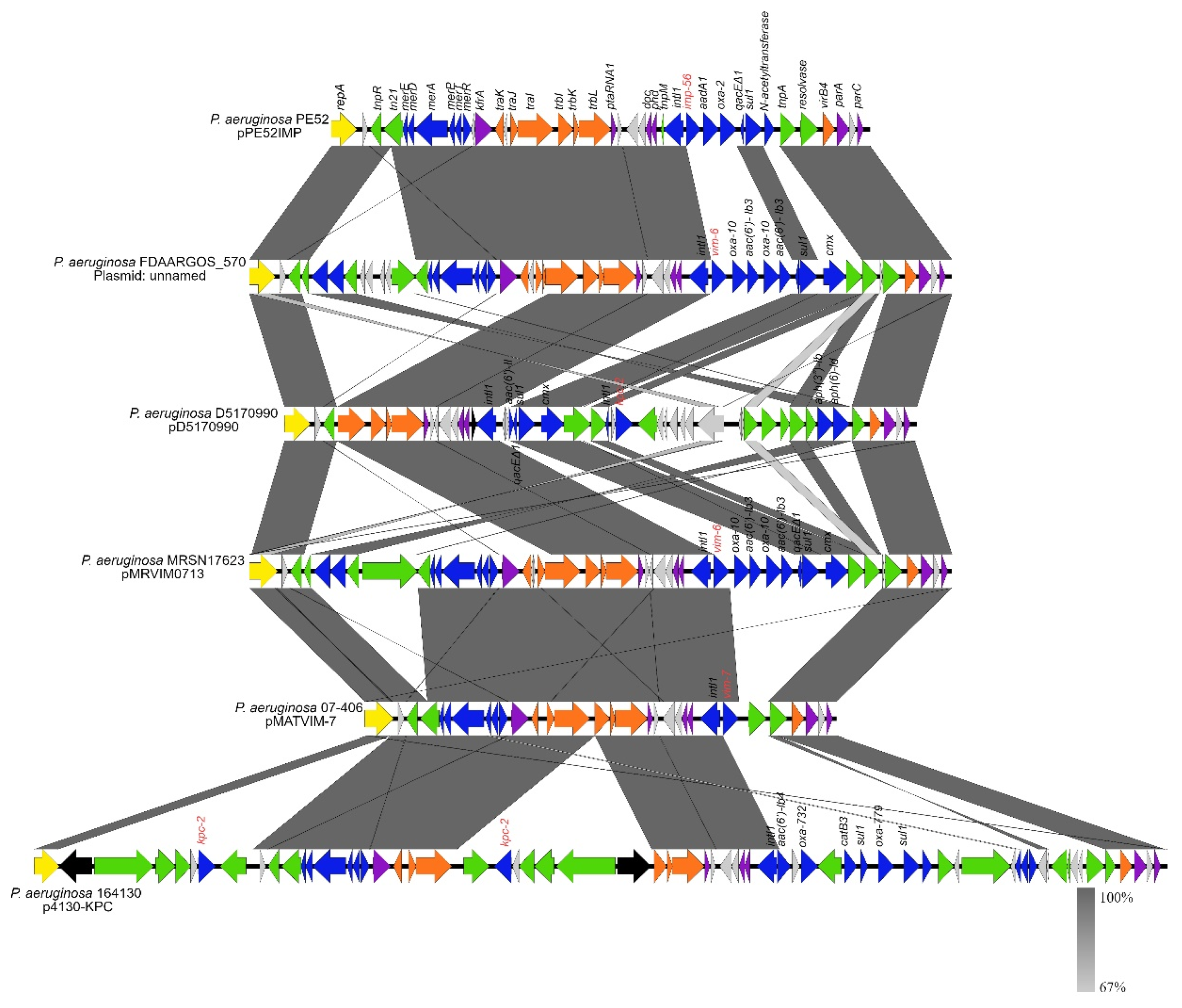 Microorganisms 10 01863 g003