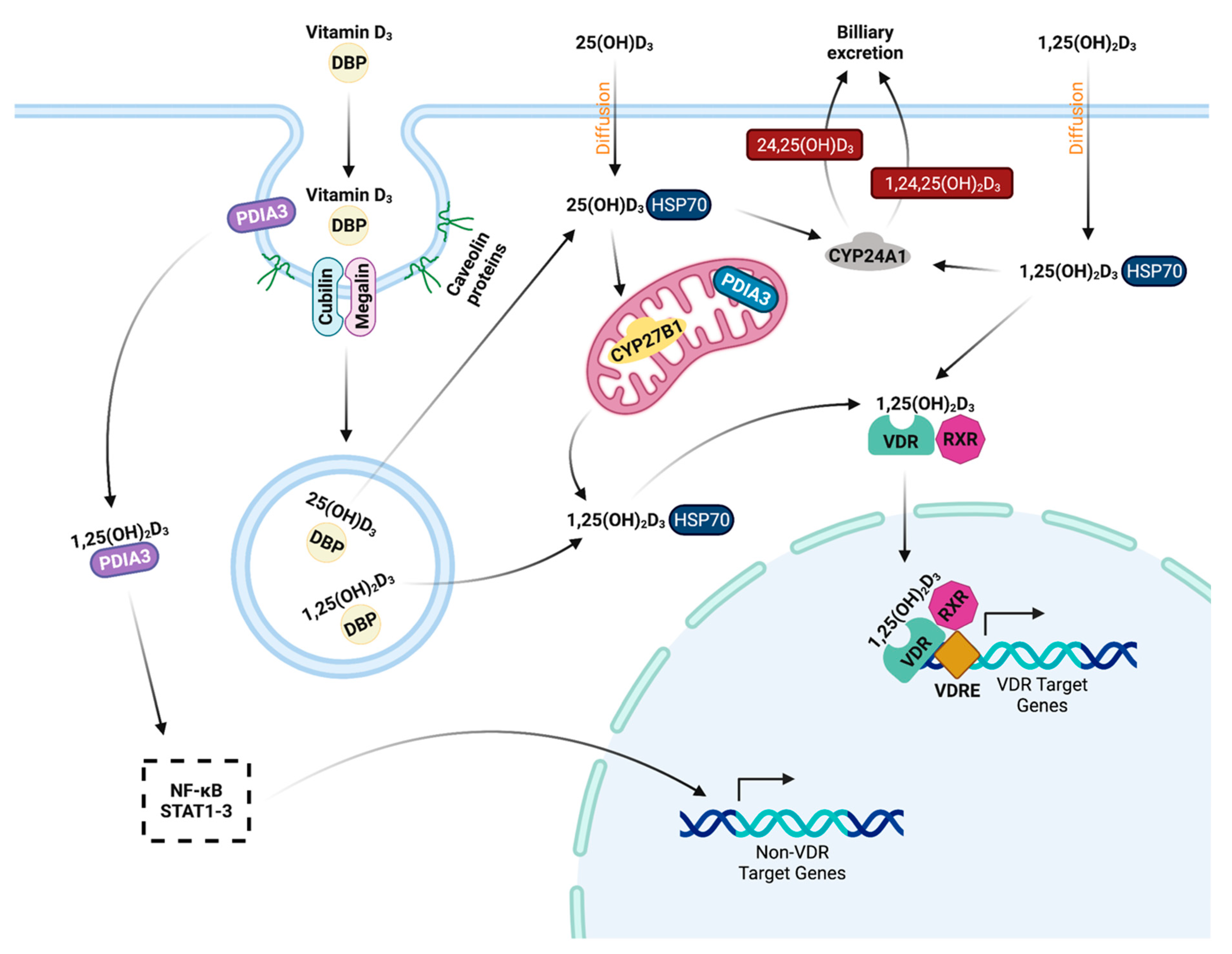 Microorganisms 10 01865 g002
