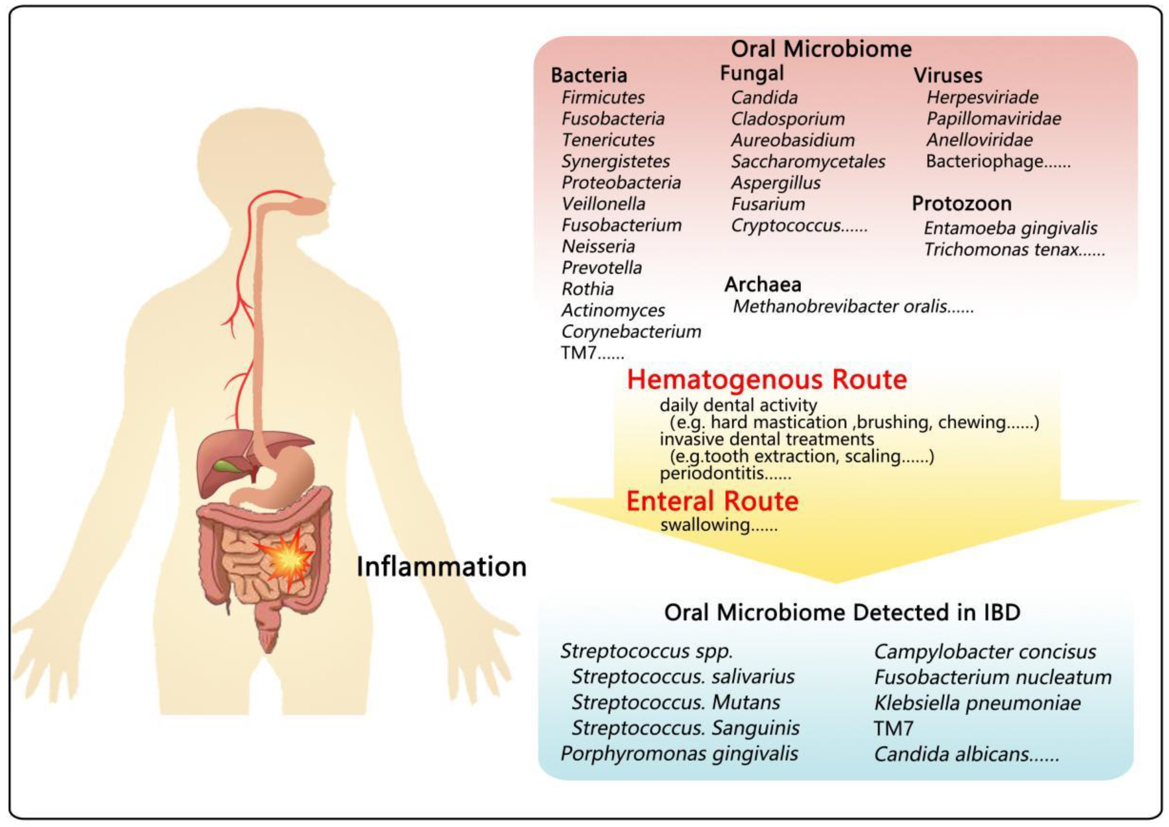 Microorganisms 10 01868 g001