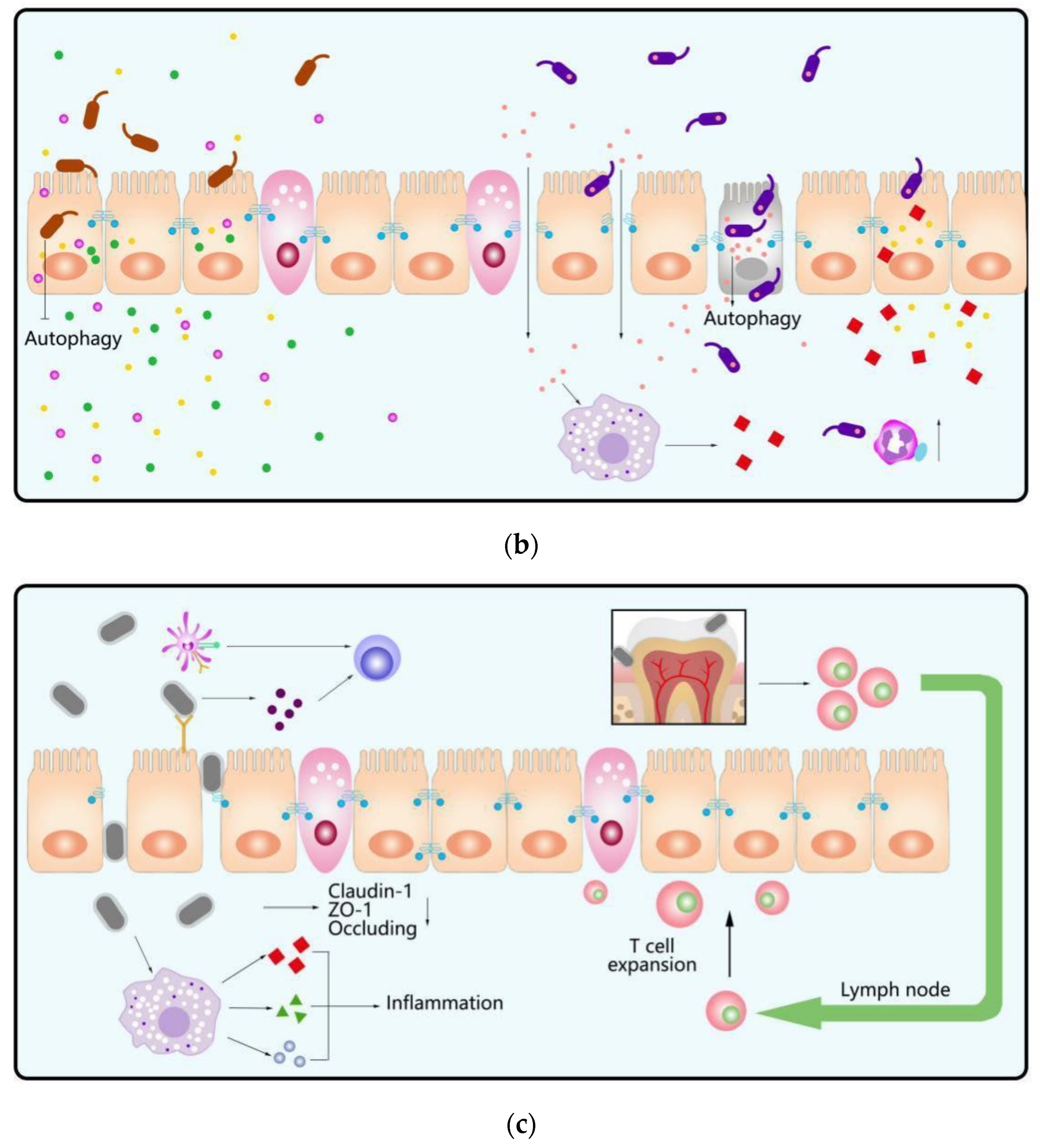 Microorganisms 10 01868 g003b