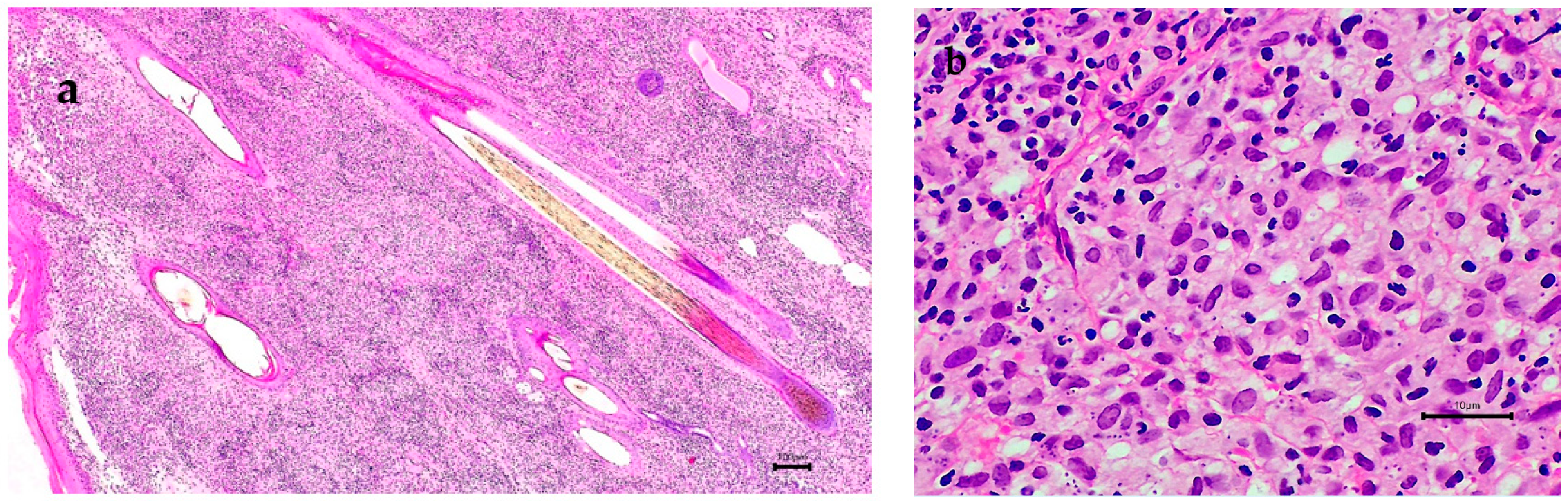 Microorganisms 10 01873 g002a Microorganisms 10 01873 g002a