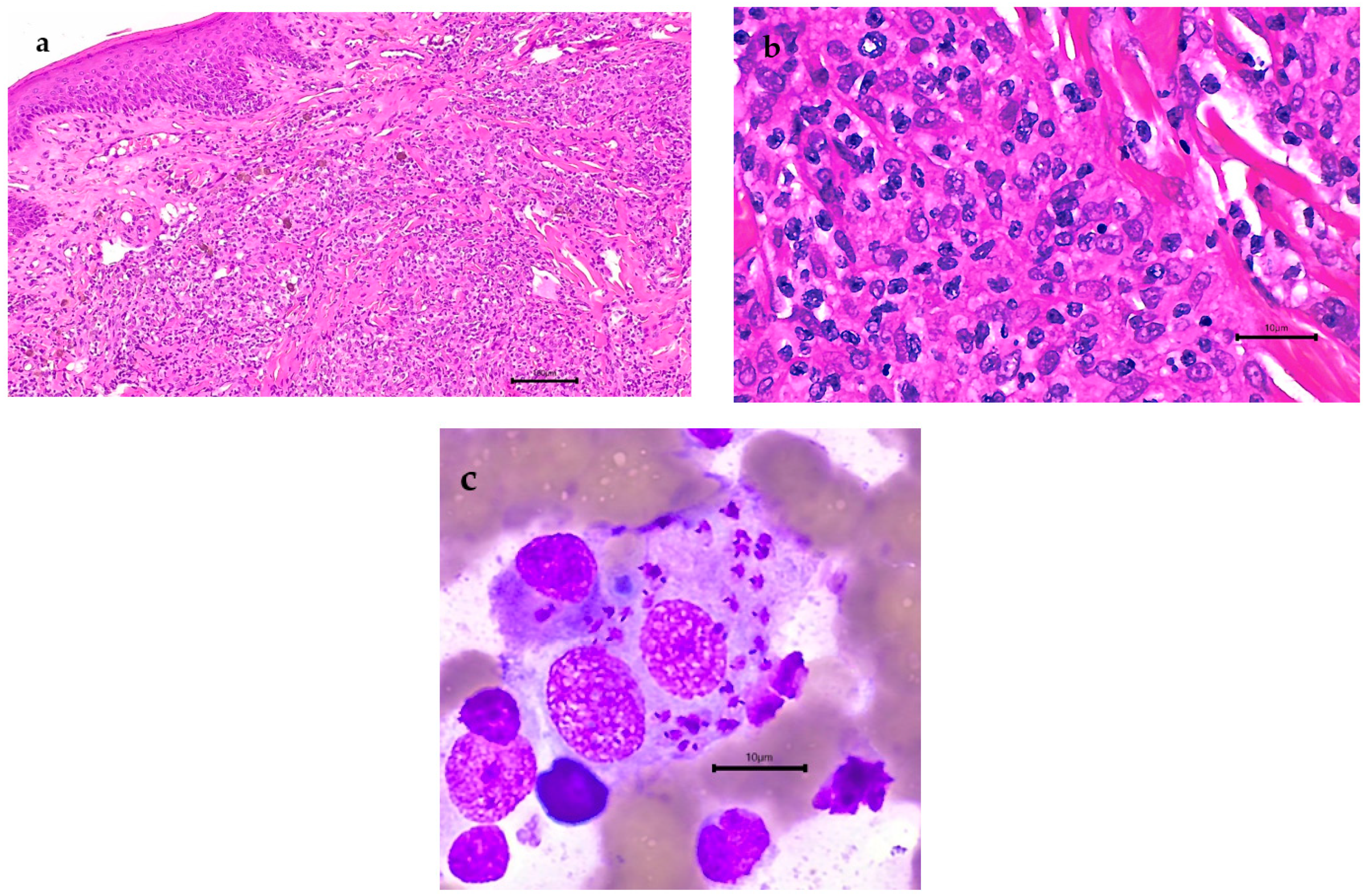 Microorganisms 10 01873 g003 Microorganisms 10 01873 g003