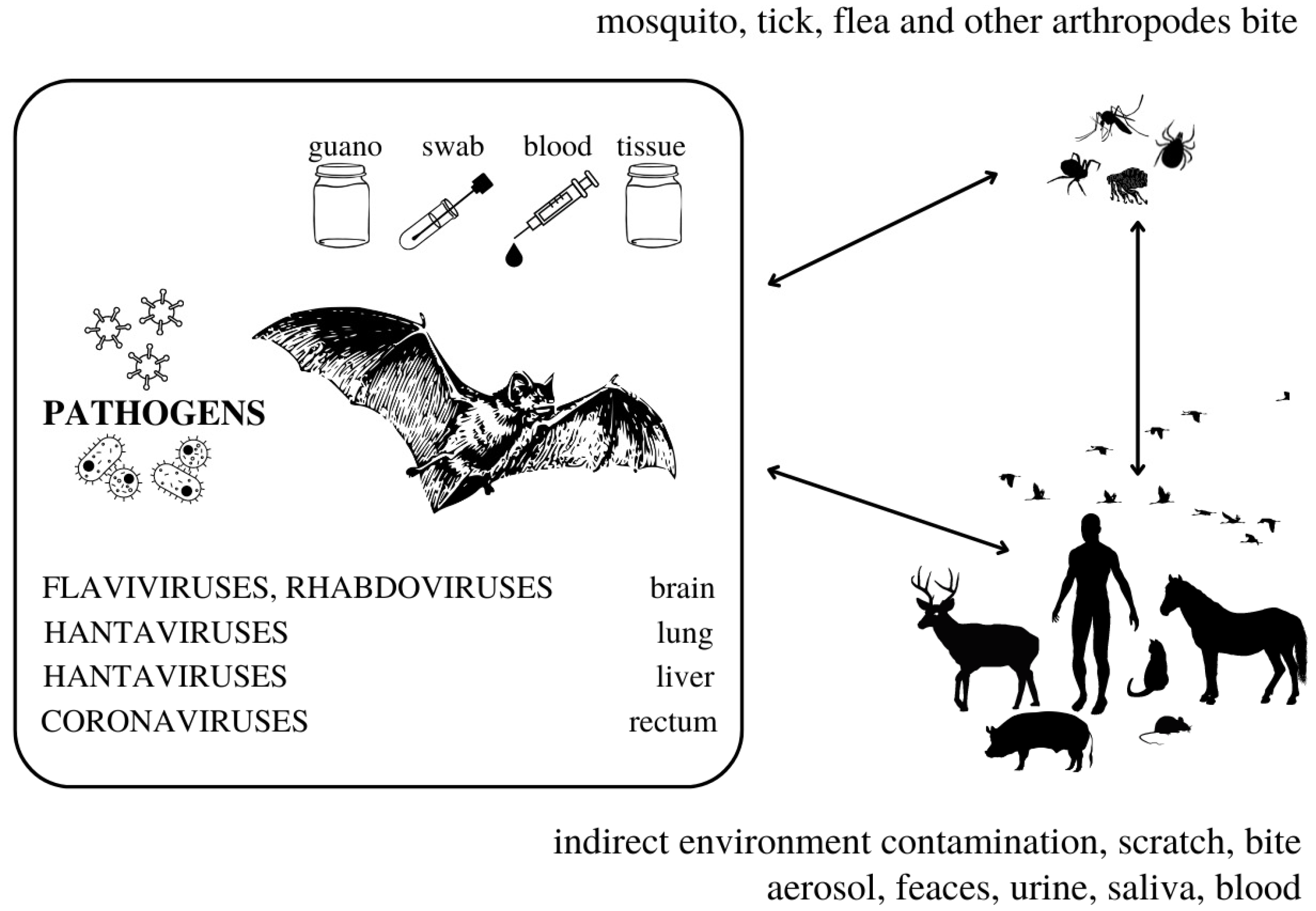 Microorganisms 10 01875 g001 Microorganisms 10 01875 g001