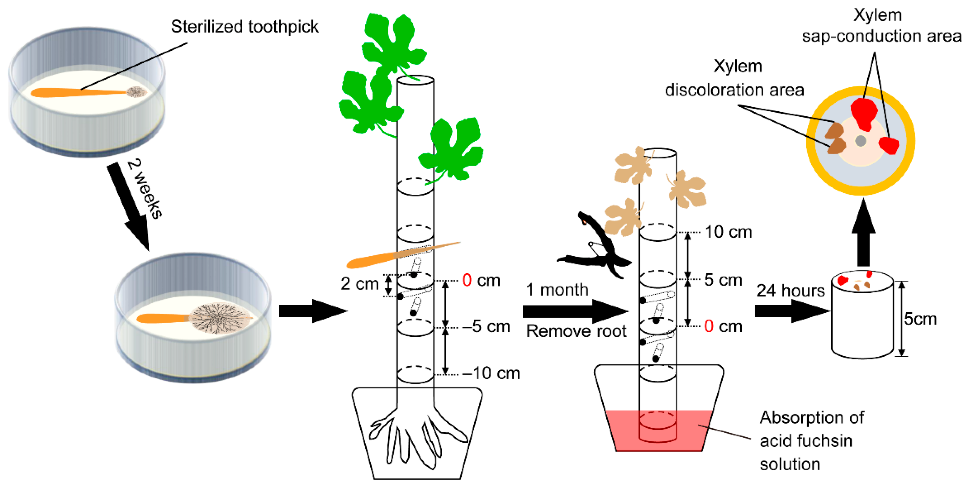Microorganisms 10 01912 g001