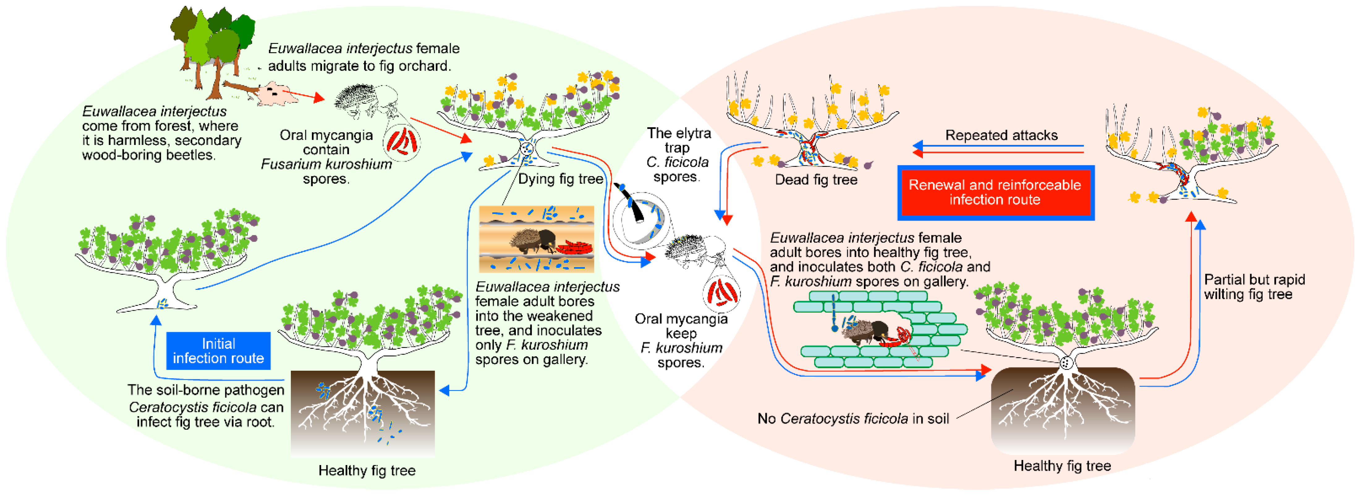 Microorganisms 10 01912 g006