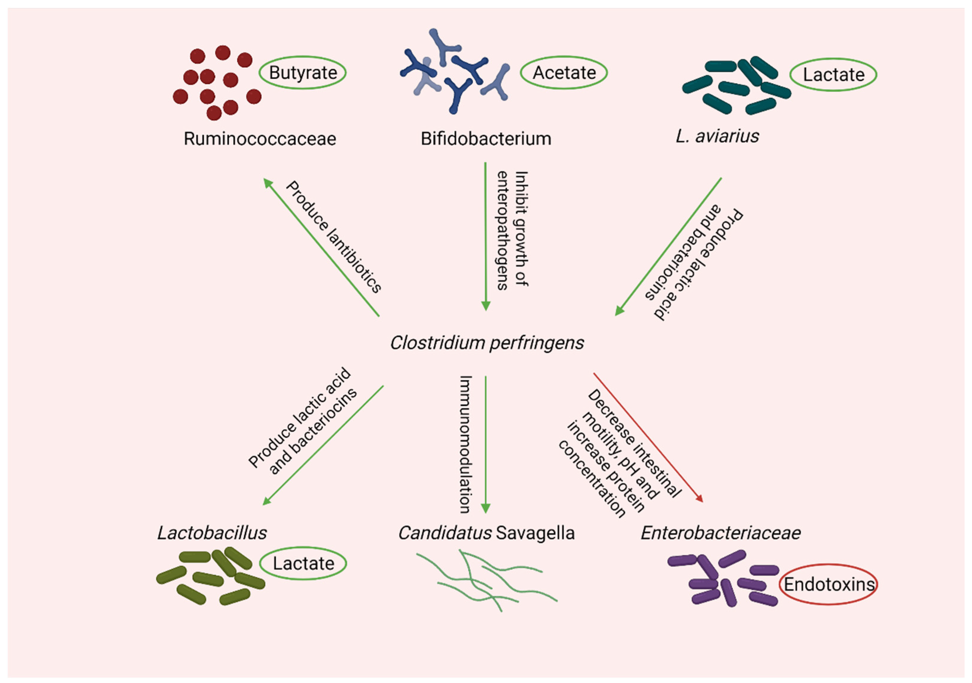 Microorganisms 10 01958 g004