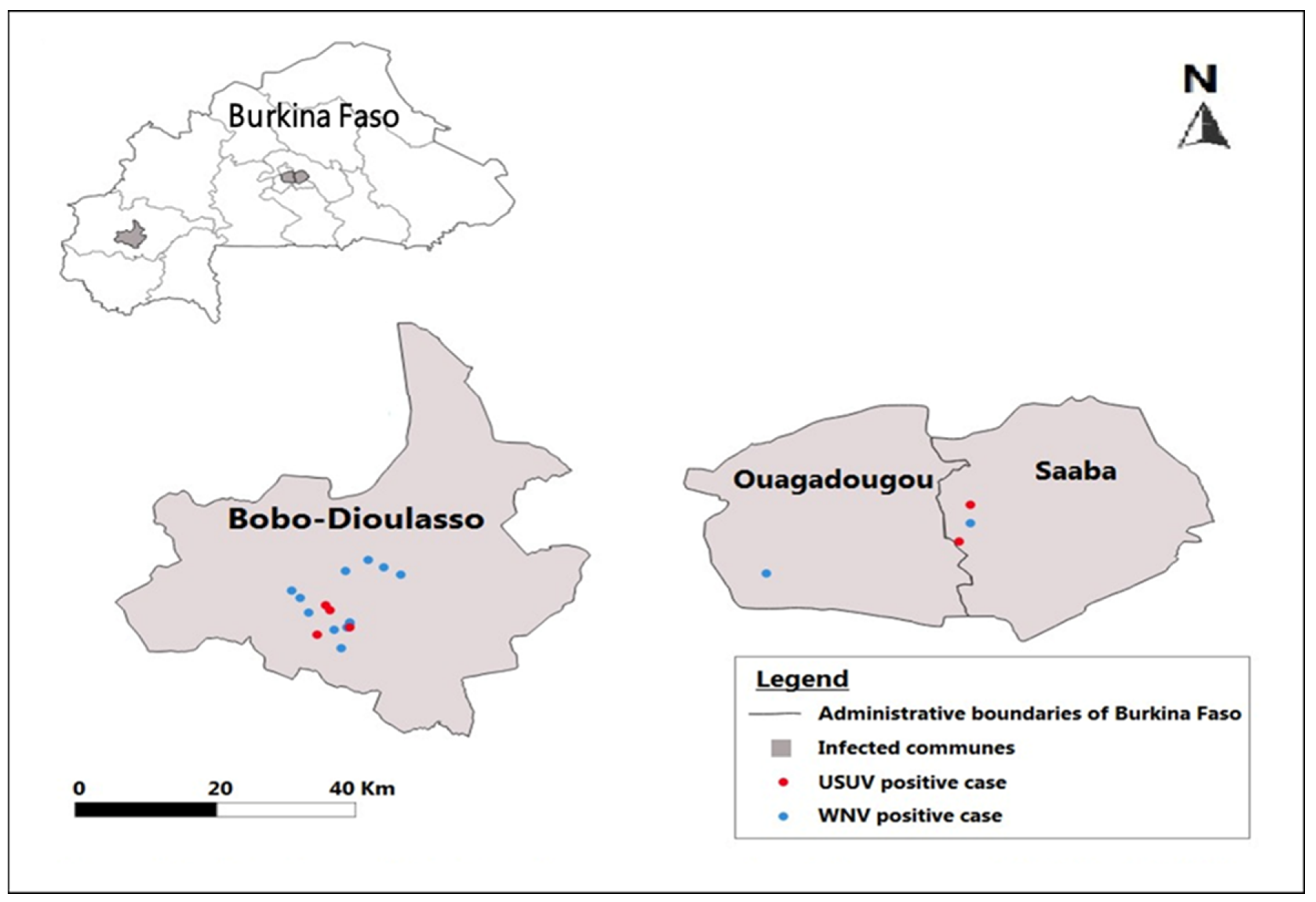 Microorganisms 10 02016 g002