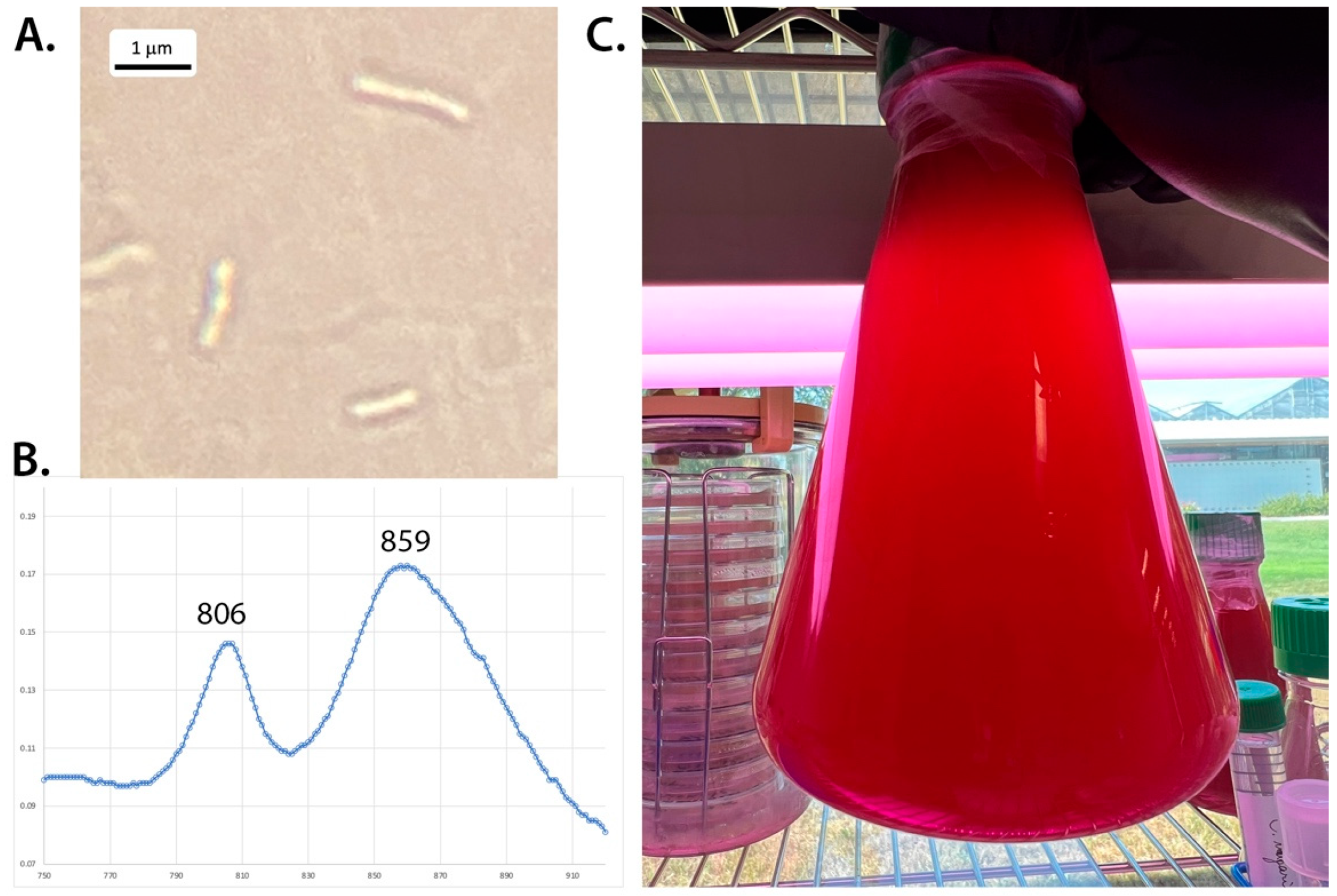 Microorganisms 10 02024 g001