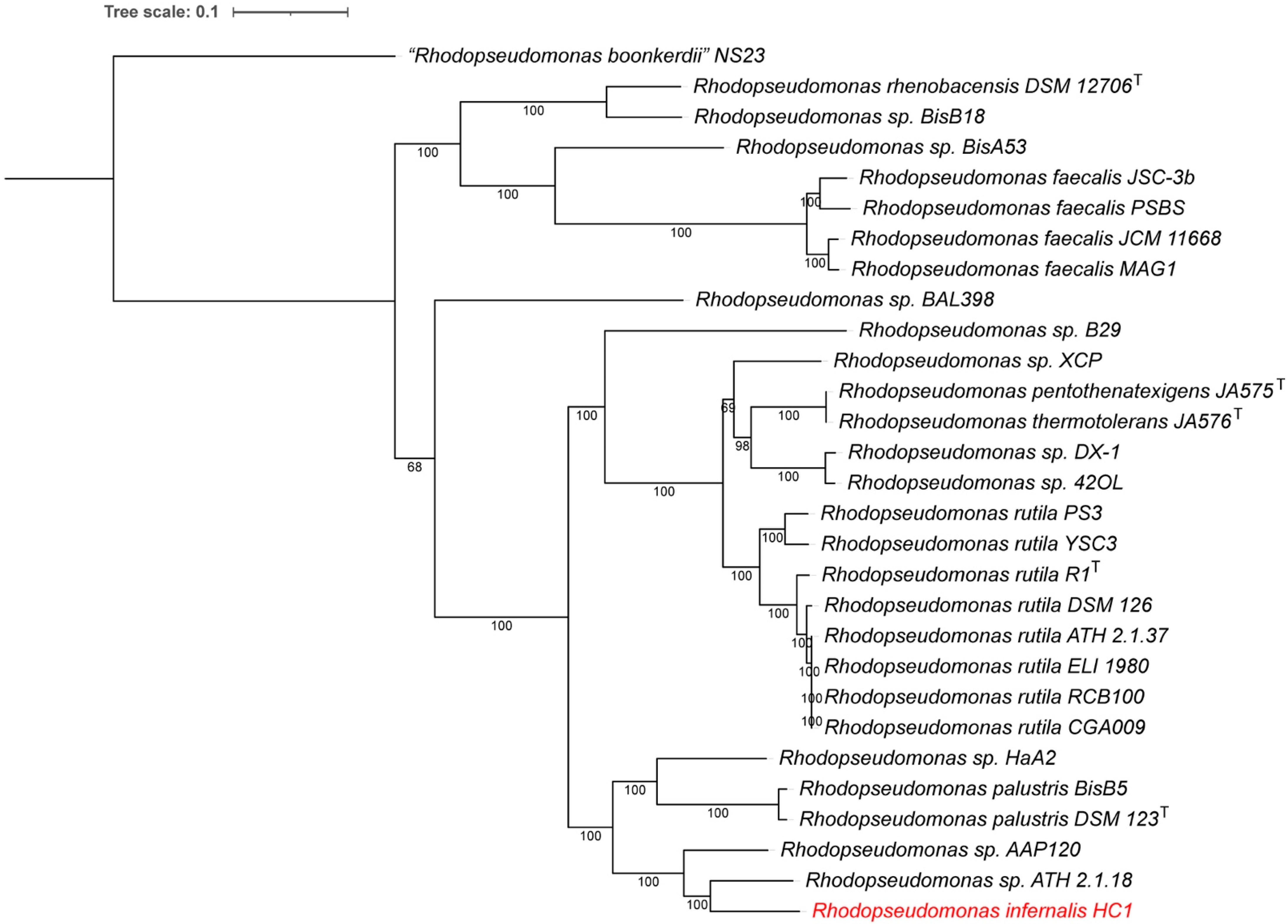 Microorganisms 10 02024 g002