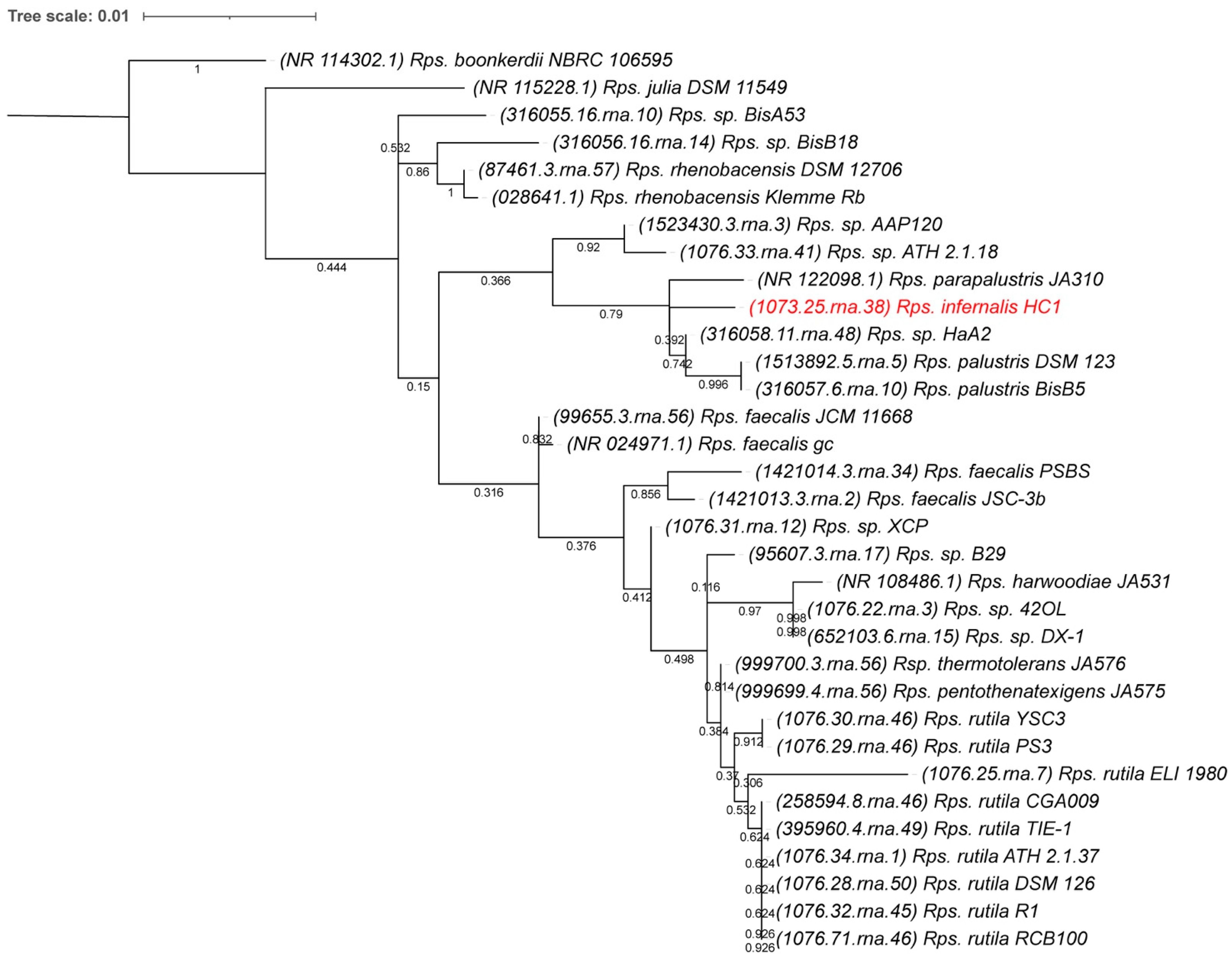 Microorganisms 10 02024 g003