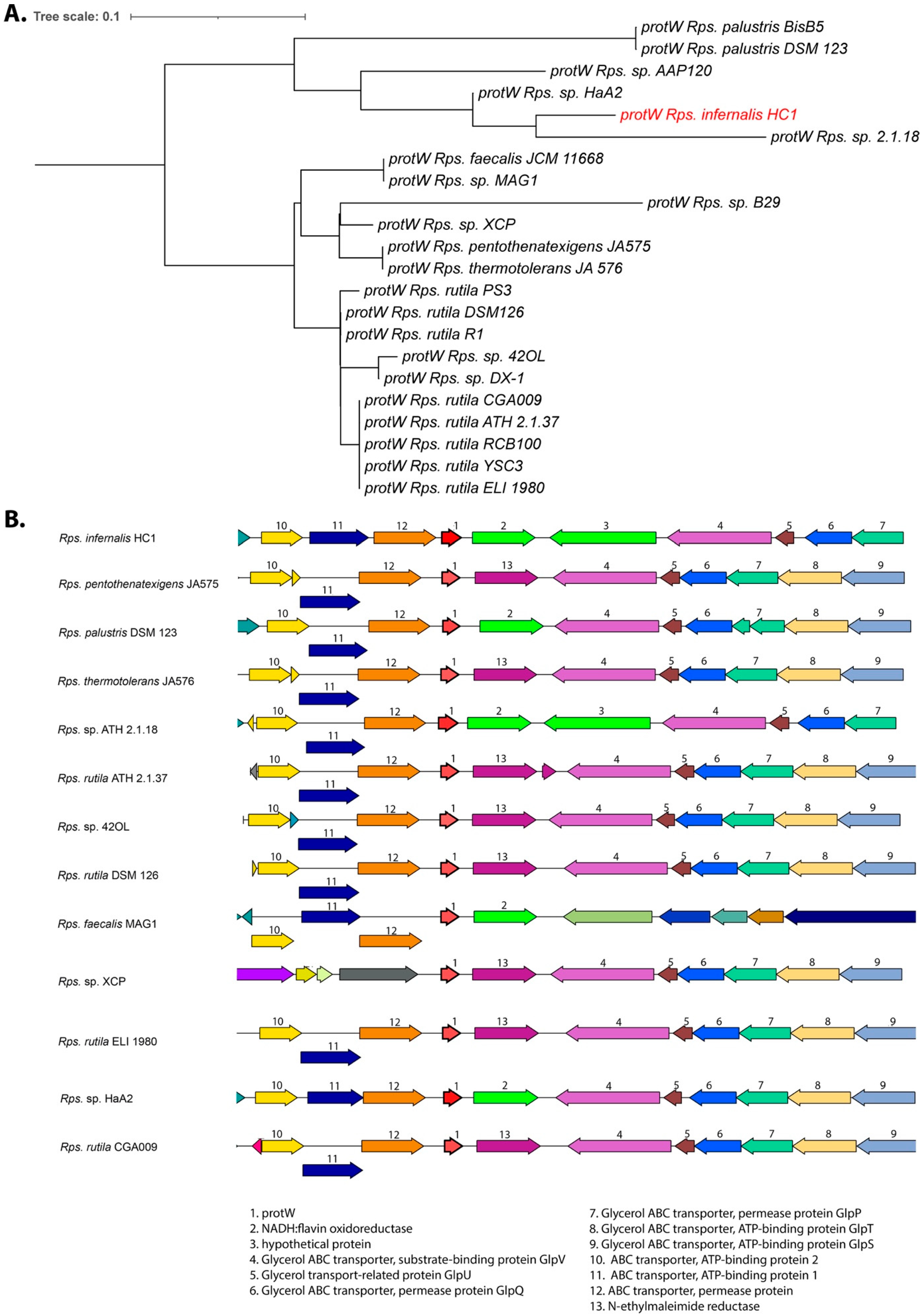 Microorganisms 10 02024 g004