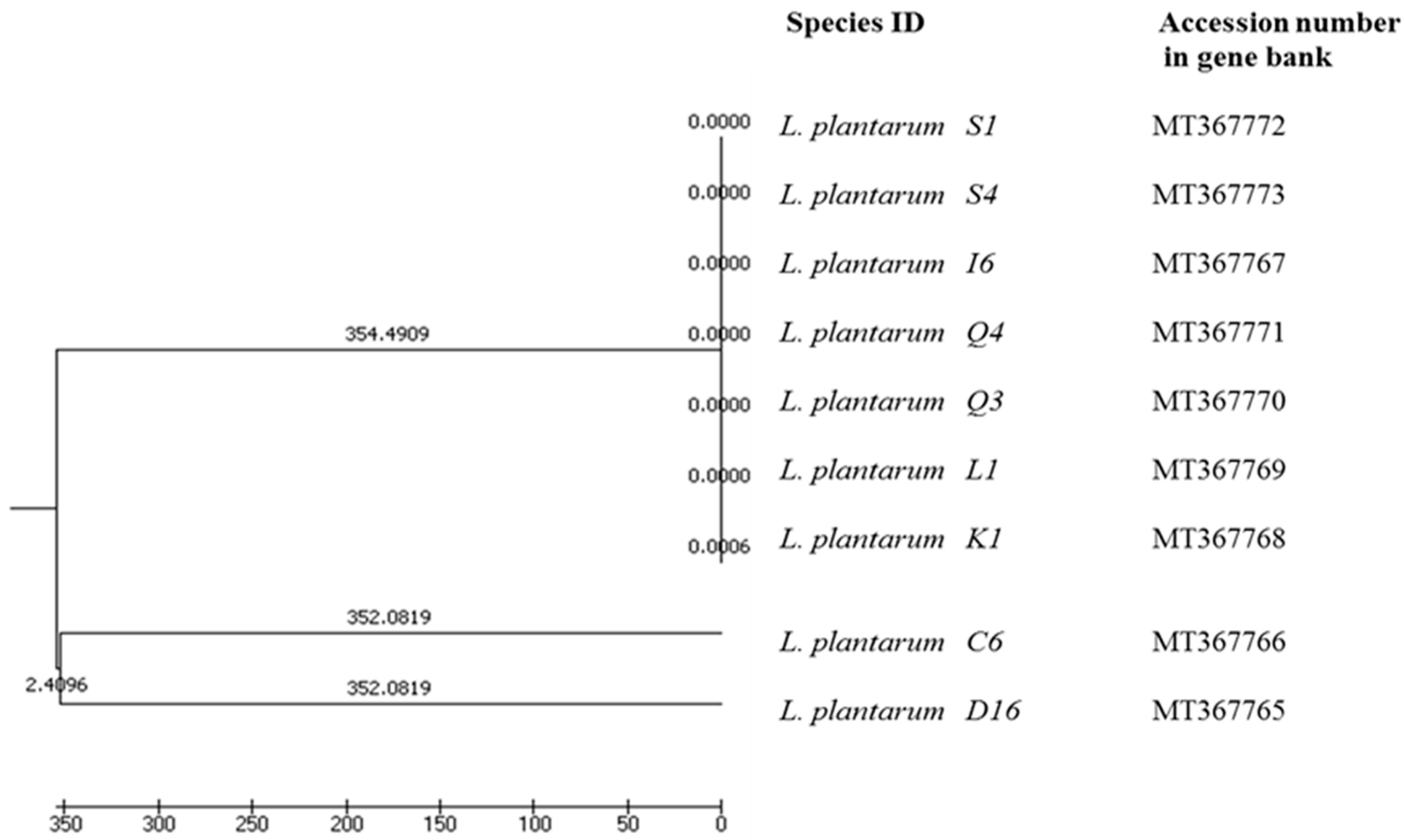 Microorganisms 10 02094 g004