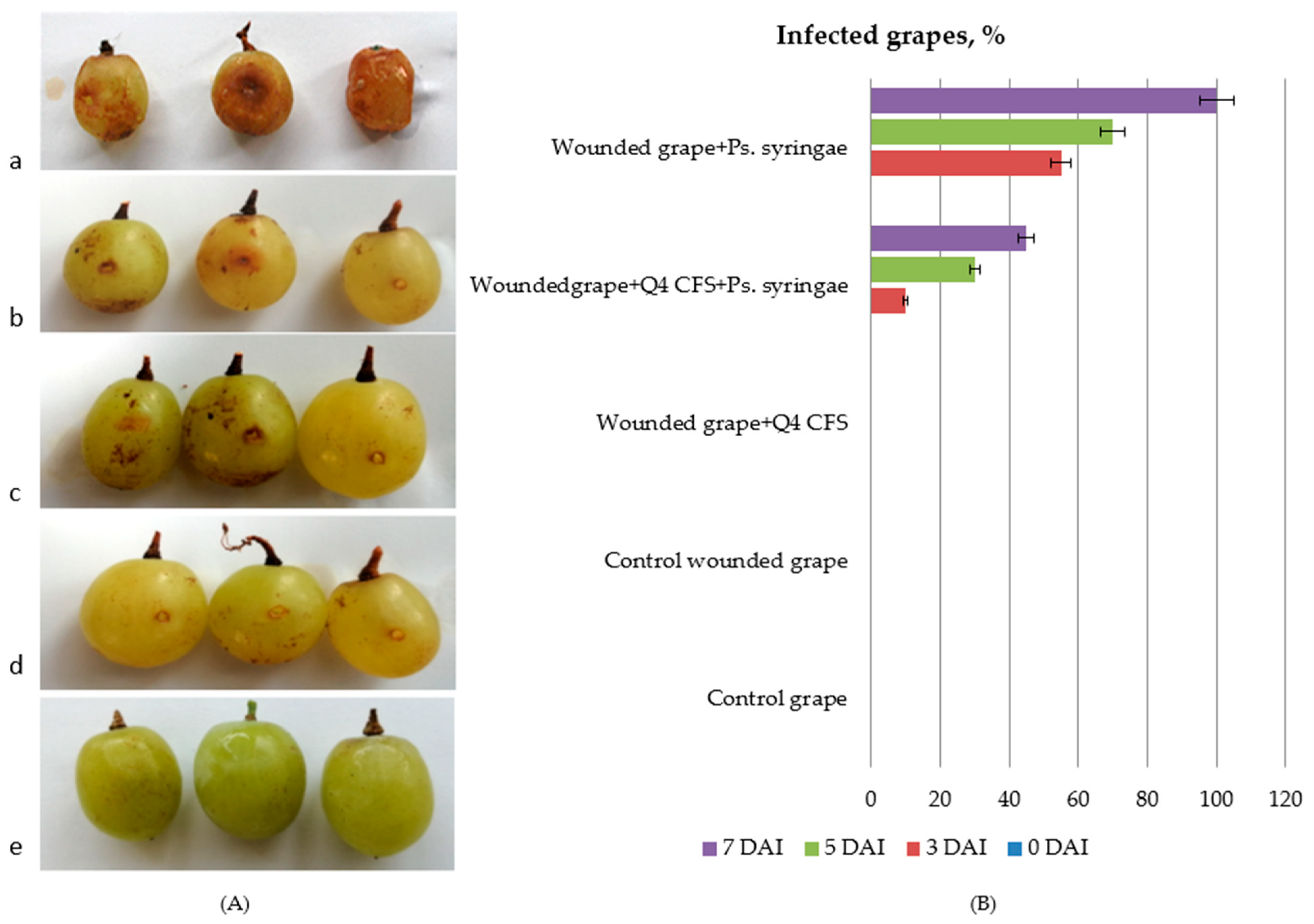 Microorganisms 10 02094 g005
