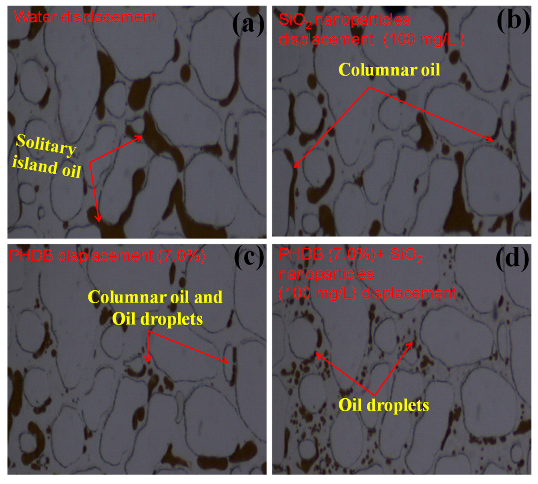 Microorganisms 10 02104 g005 Microorganisms 10 02104 g005