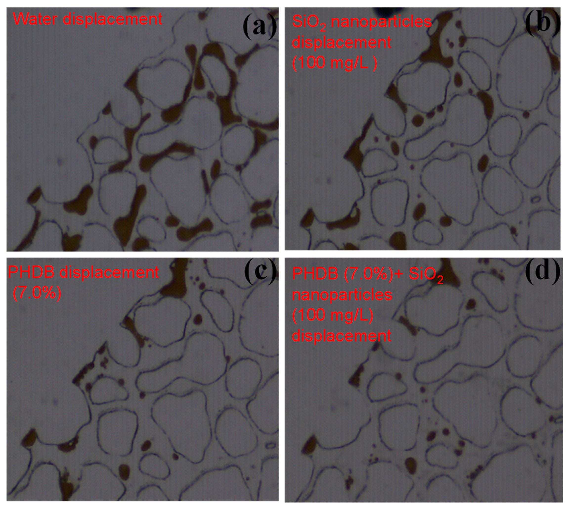 Microorganisms 10 02104 g006 Microorganisms 10 02104 g006