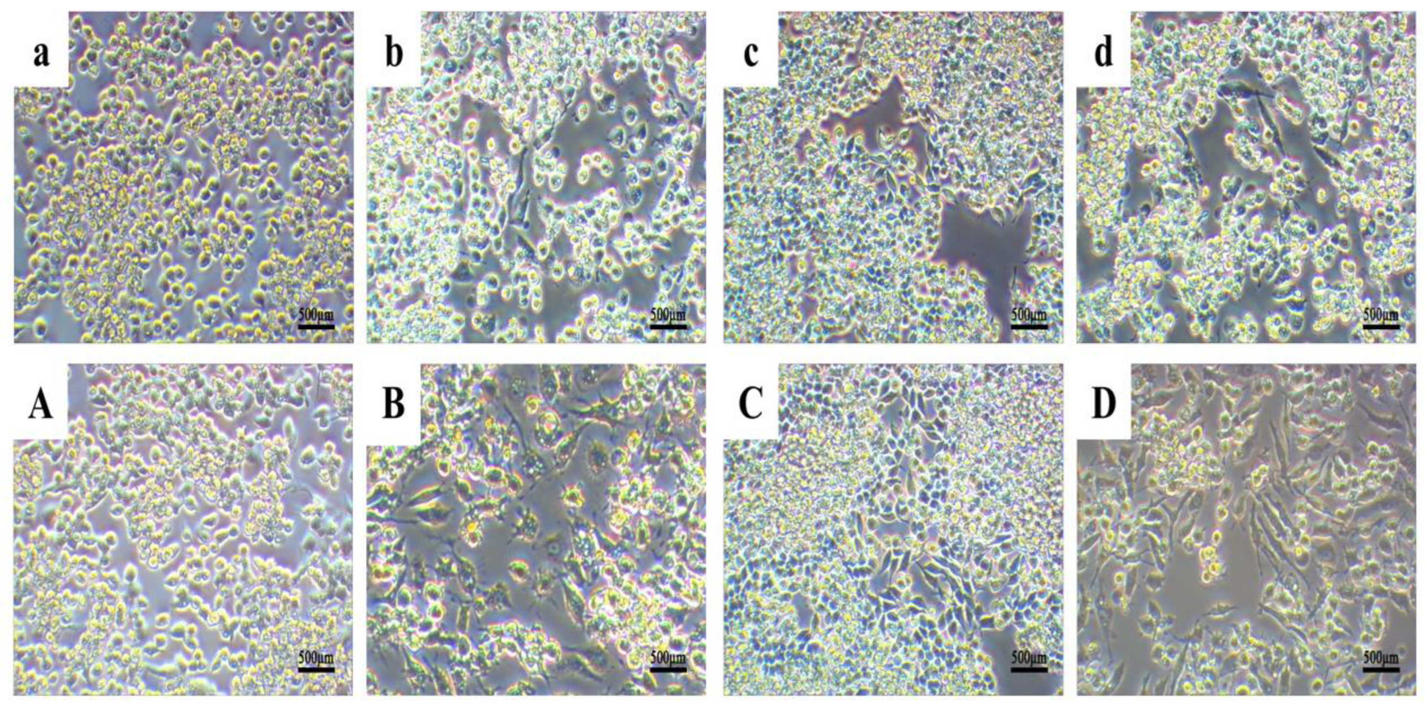 Microorganisms 10 02114 g009