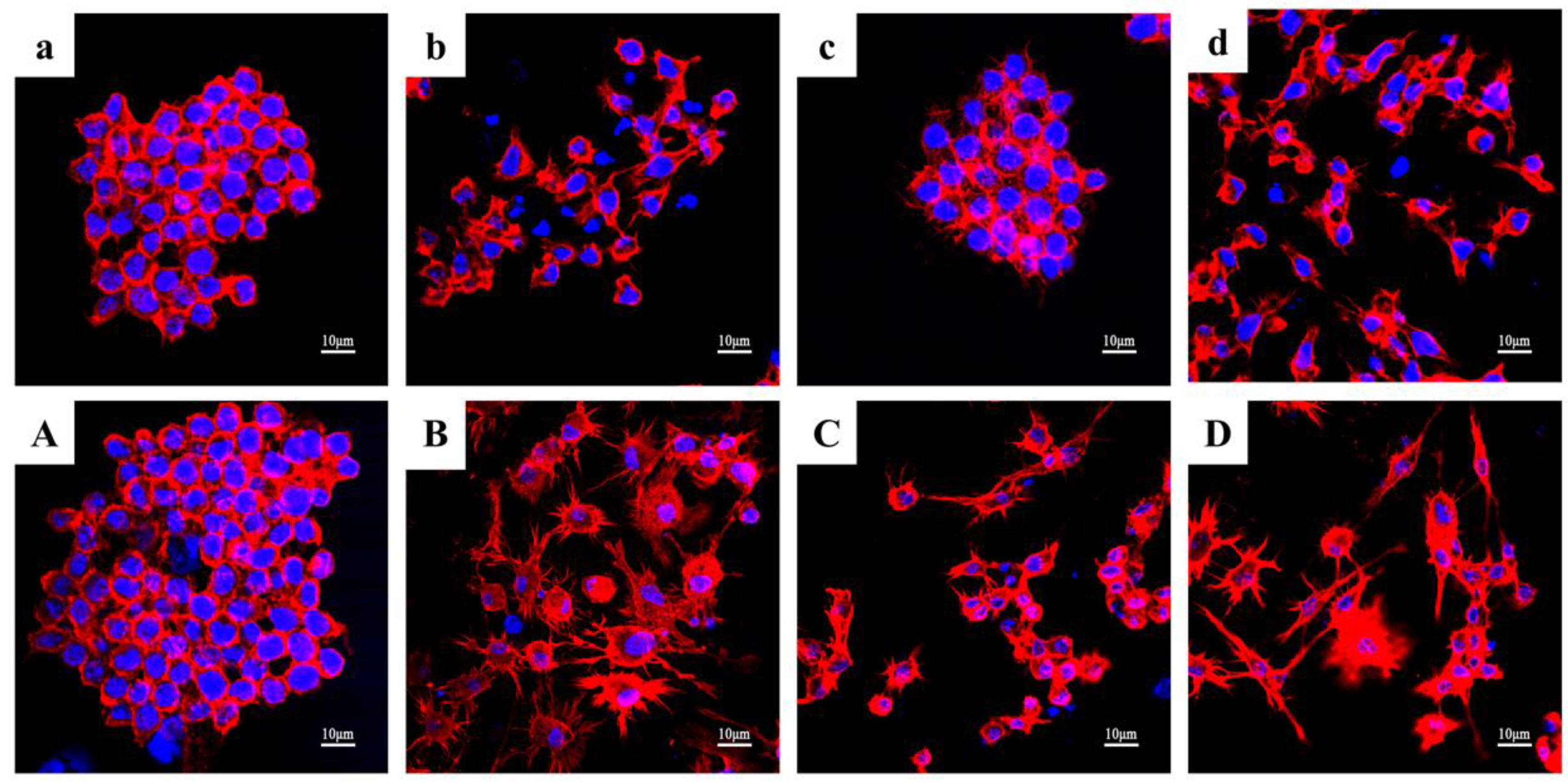 Microorganisms 10 02114 g010