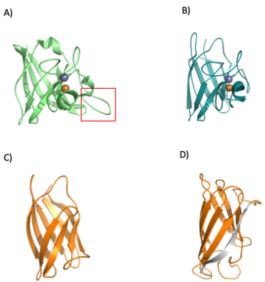 Microorganisms 10 02115 g010