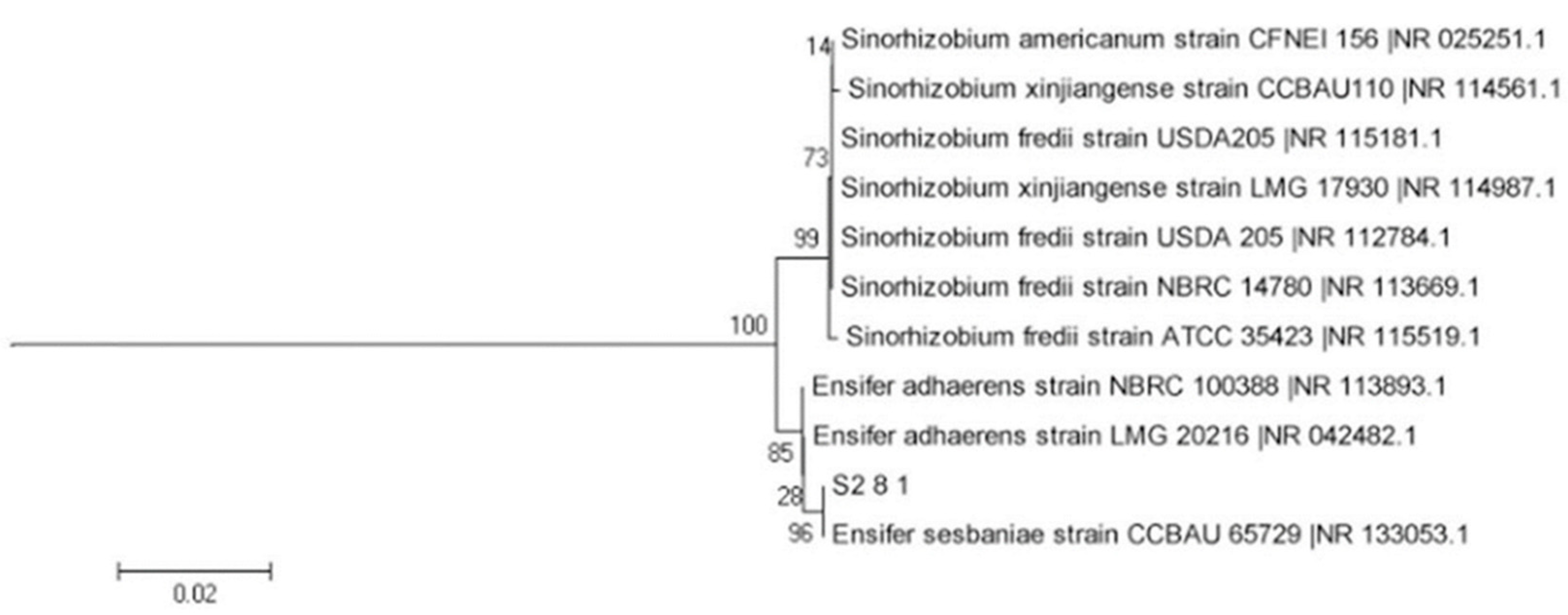 Microorganisms 10 02122 g003 Microorganisms 10 02122 g003