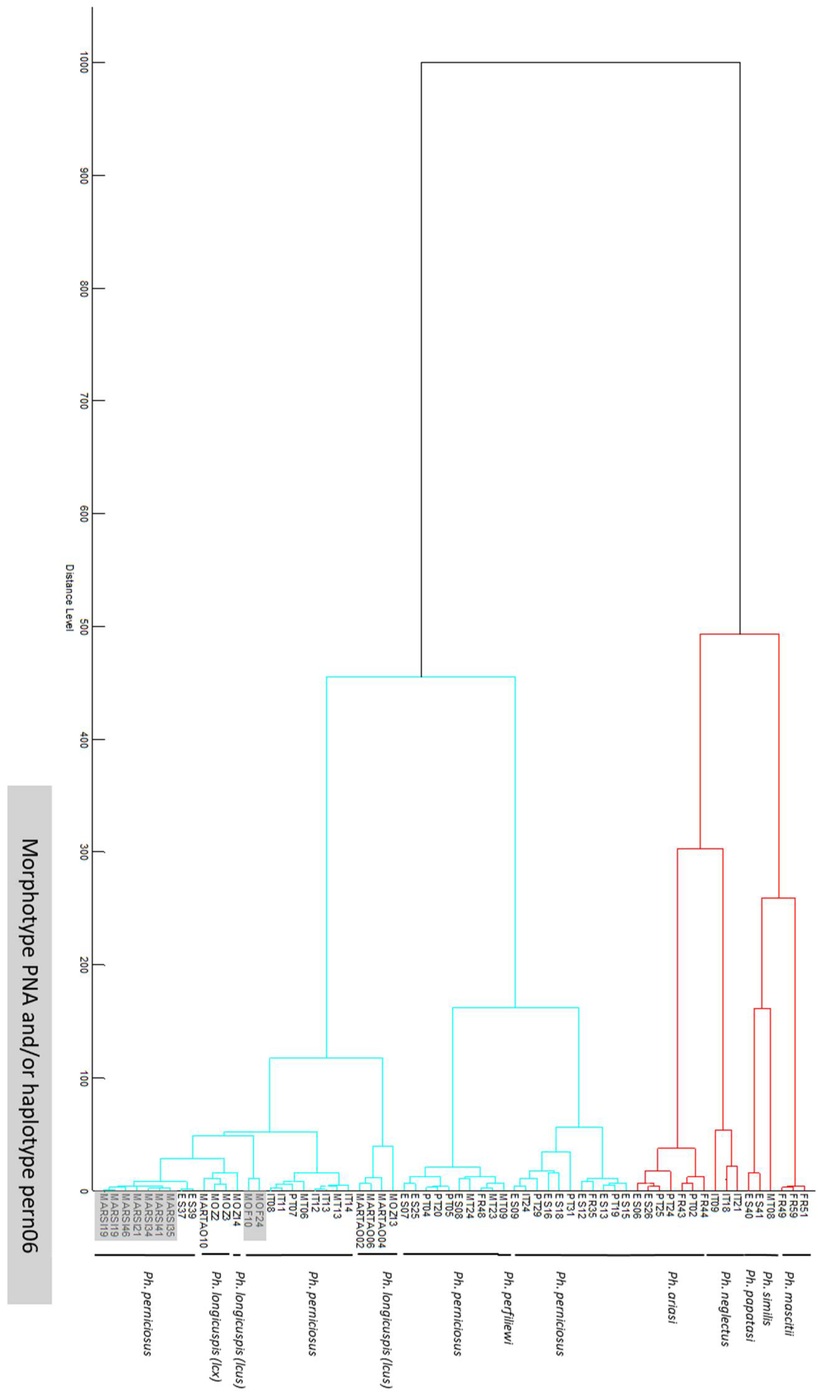 Microorganisms 10 02135 g003