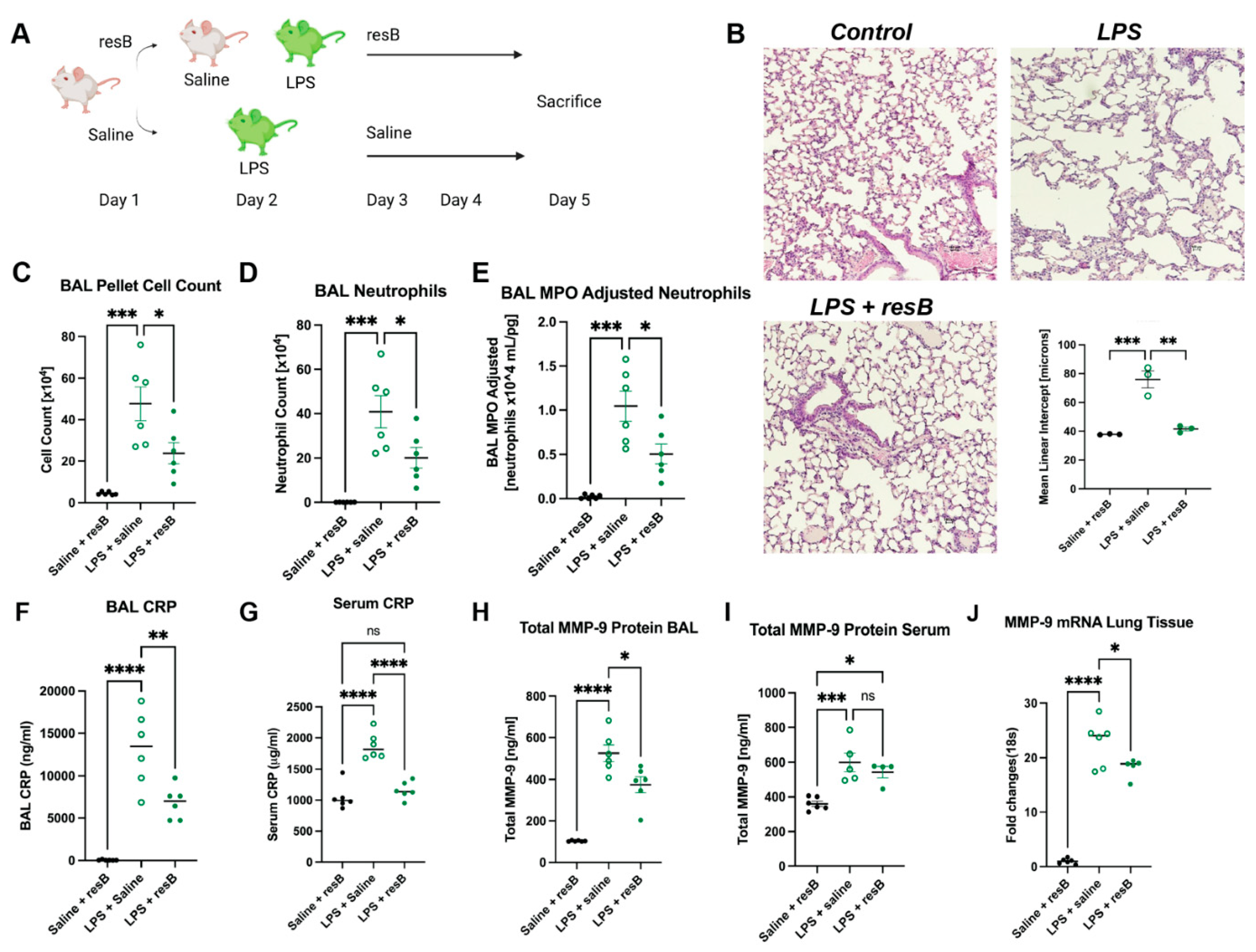 Microorganisms 10 02136 g003