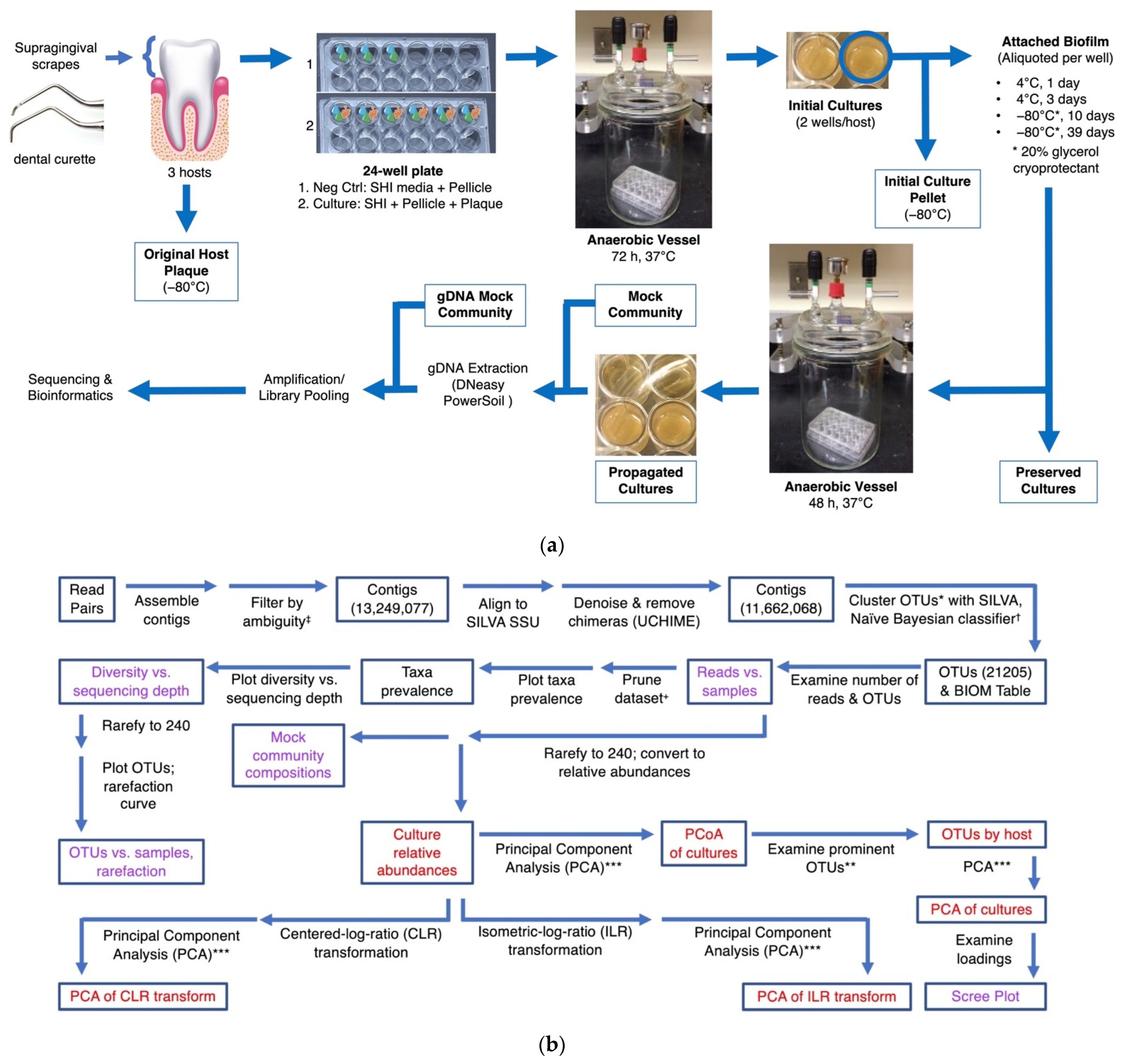 Microorganisms 10 02146 g001