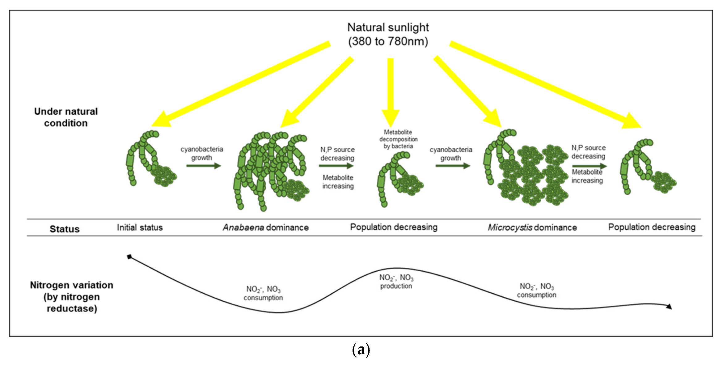 Microorganisms 10 02150 g006a