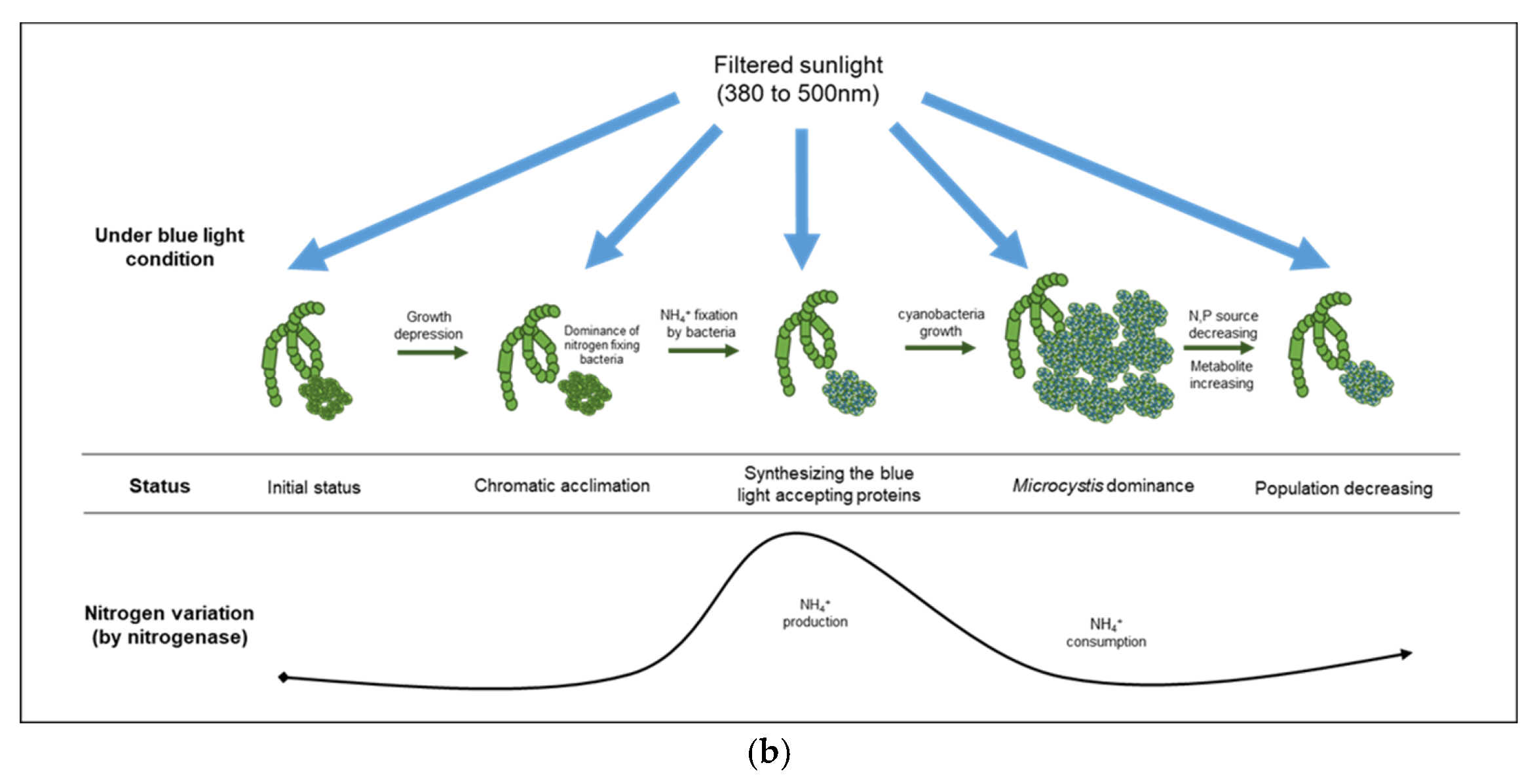 Microorganisms 10 02150 g006b
