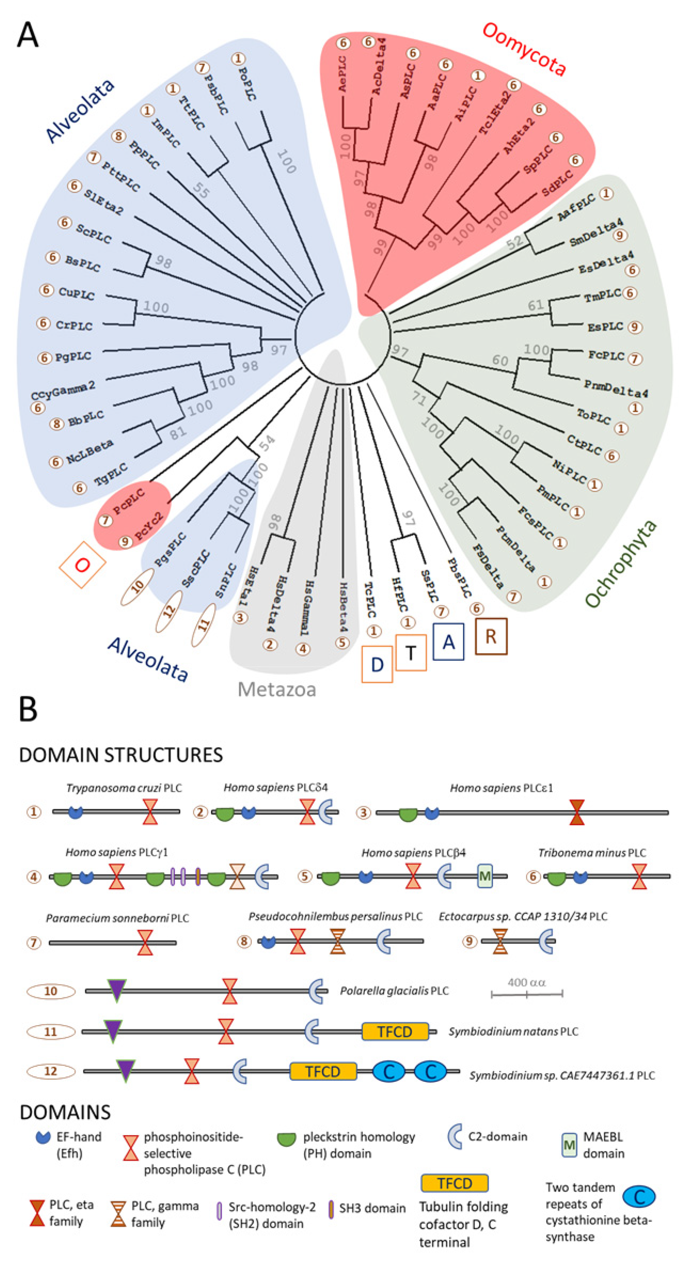 Microorganisms 10 02157 g003 Microorganisms 10 02157 g003