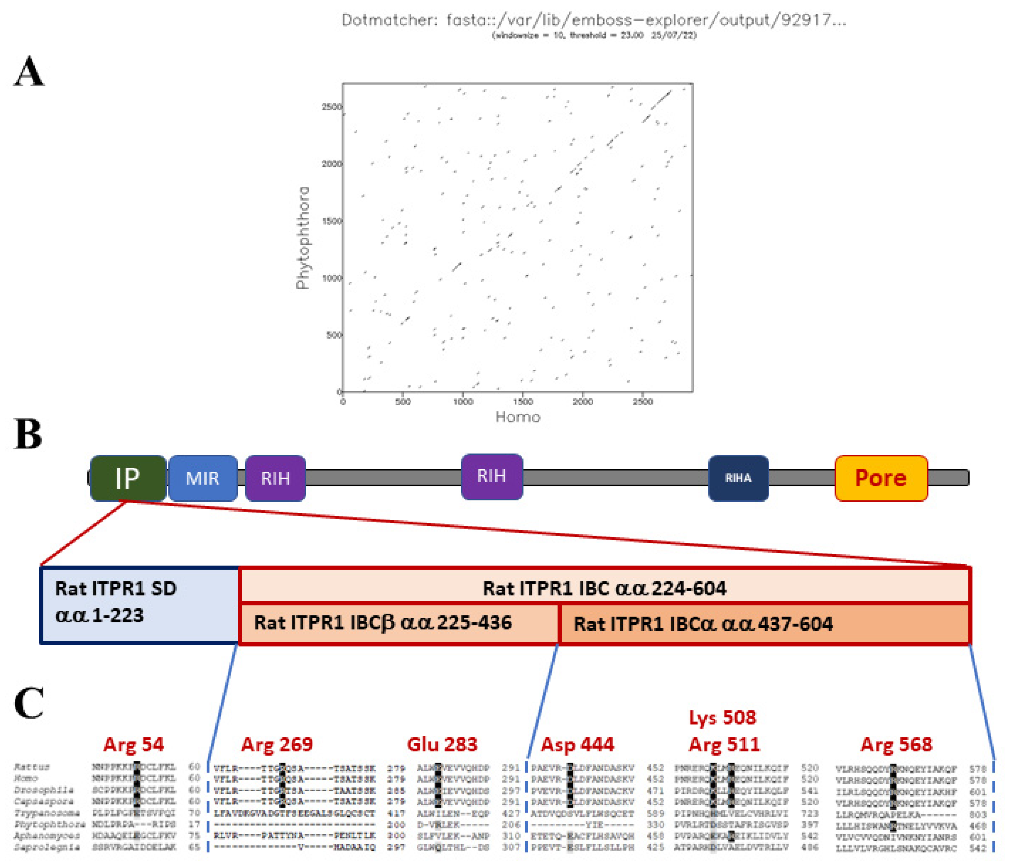Microorganisms 10 02157 g004 Microorganisms 10 02157 g004
