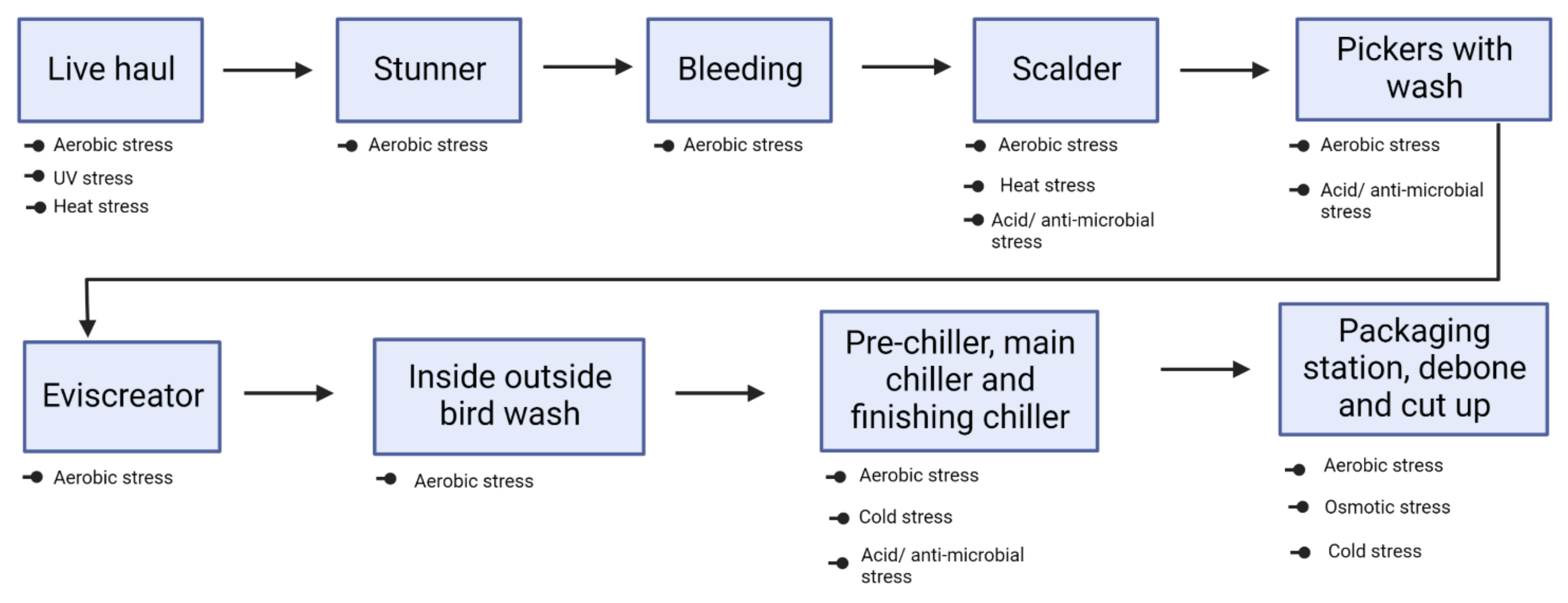 Microorganisms 10 02165 g001