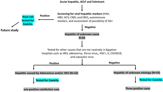 Microorganisms 10 02168 g001