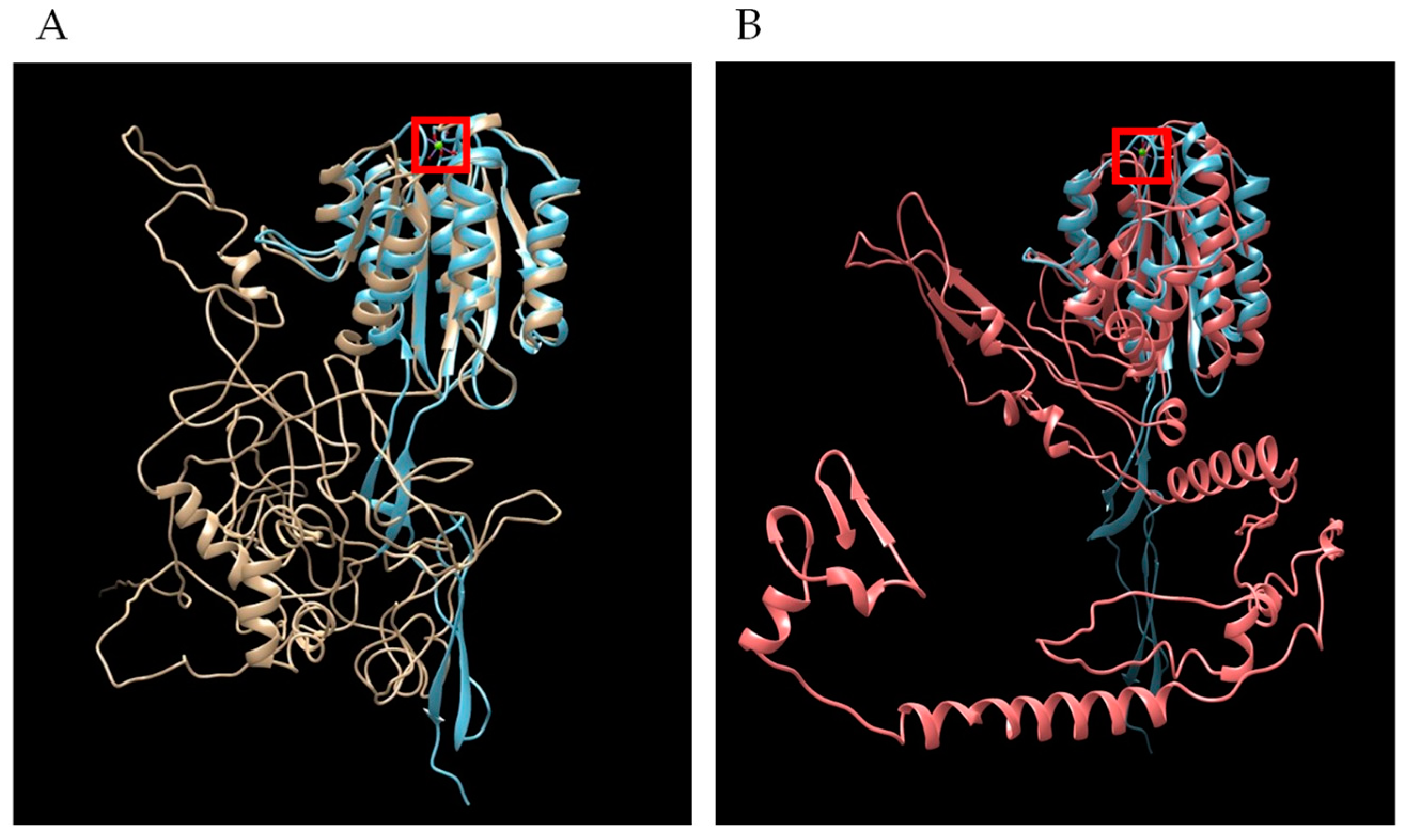 Microorganisms 10 02173 g007 Microorganisms 10 02173 g007