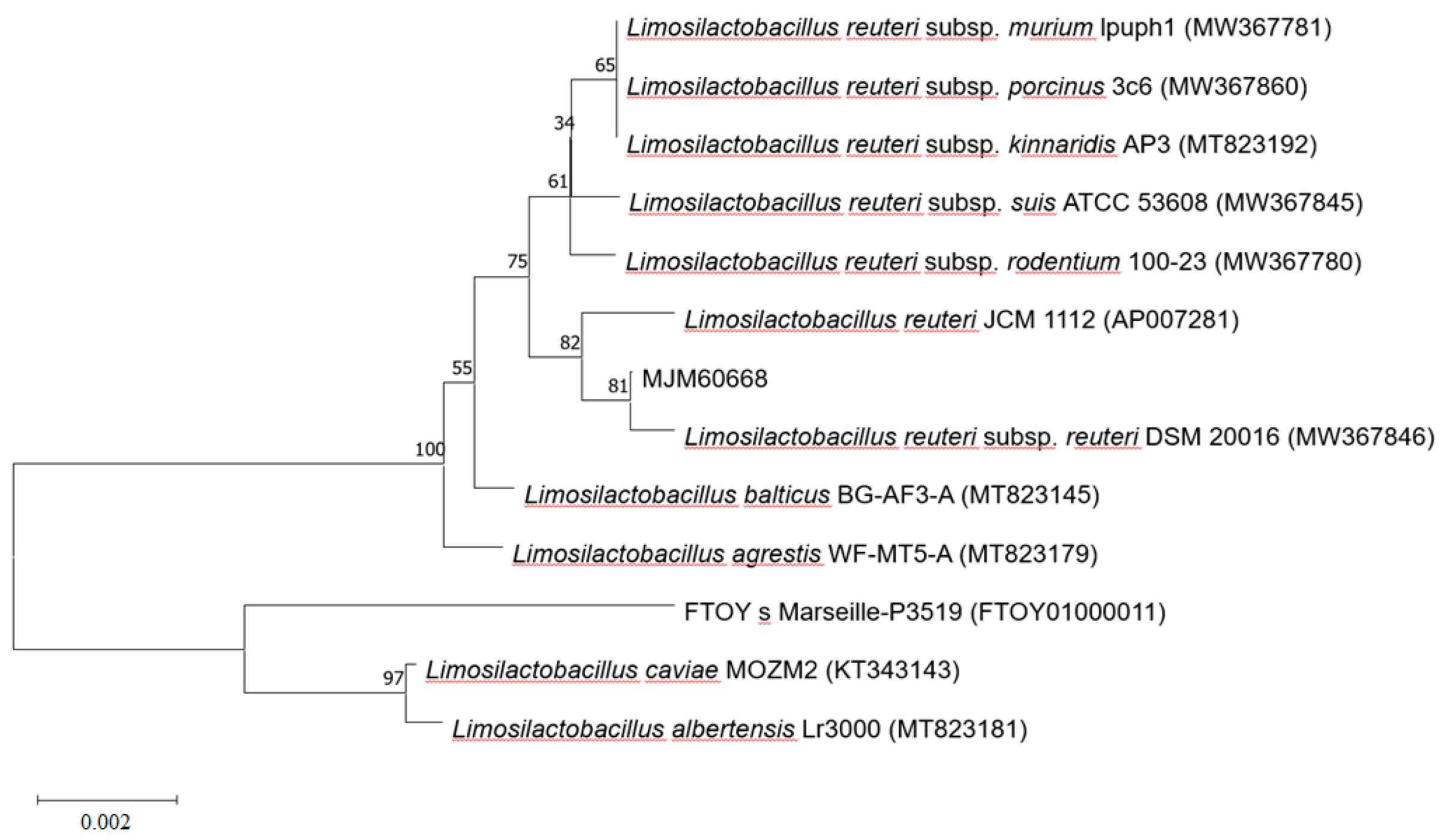 Microorganisms 10 02203 g001