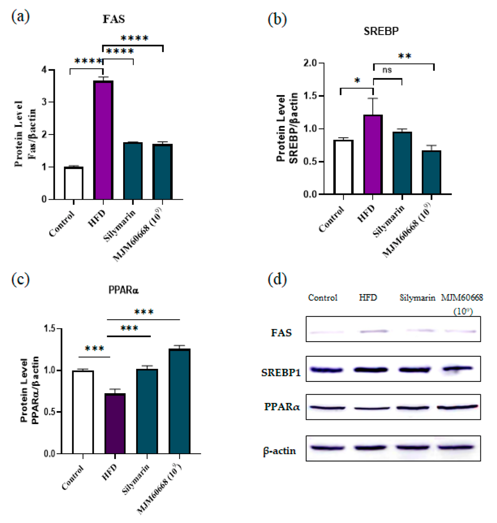 Microorganisms 10 02203 g008
