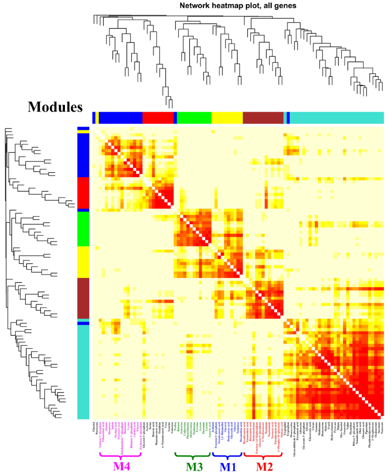 Microorganisms 10 02205 g004