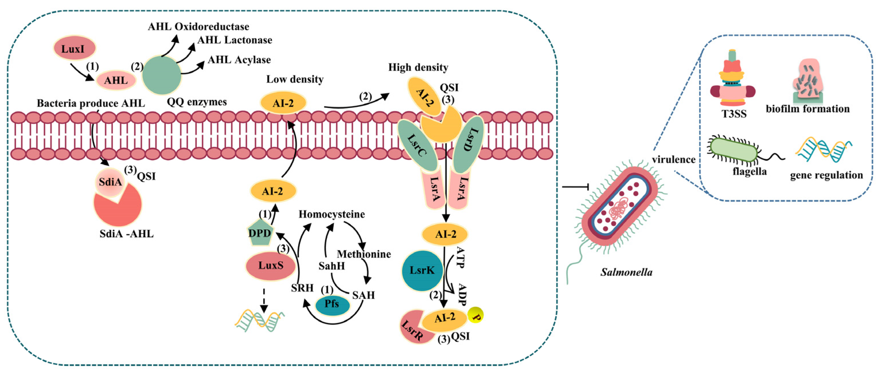 Microorganisms 10 02211 g002