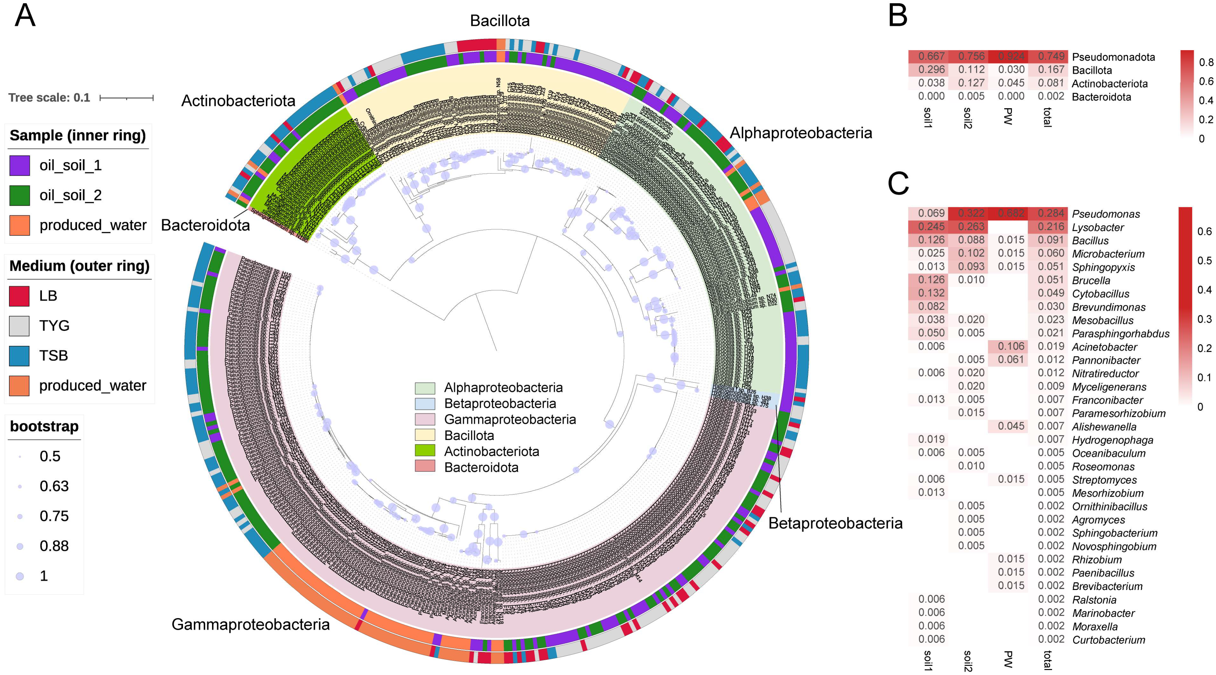 Microorganisms 10 02216 g004