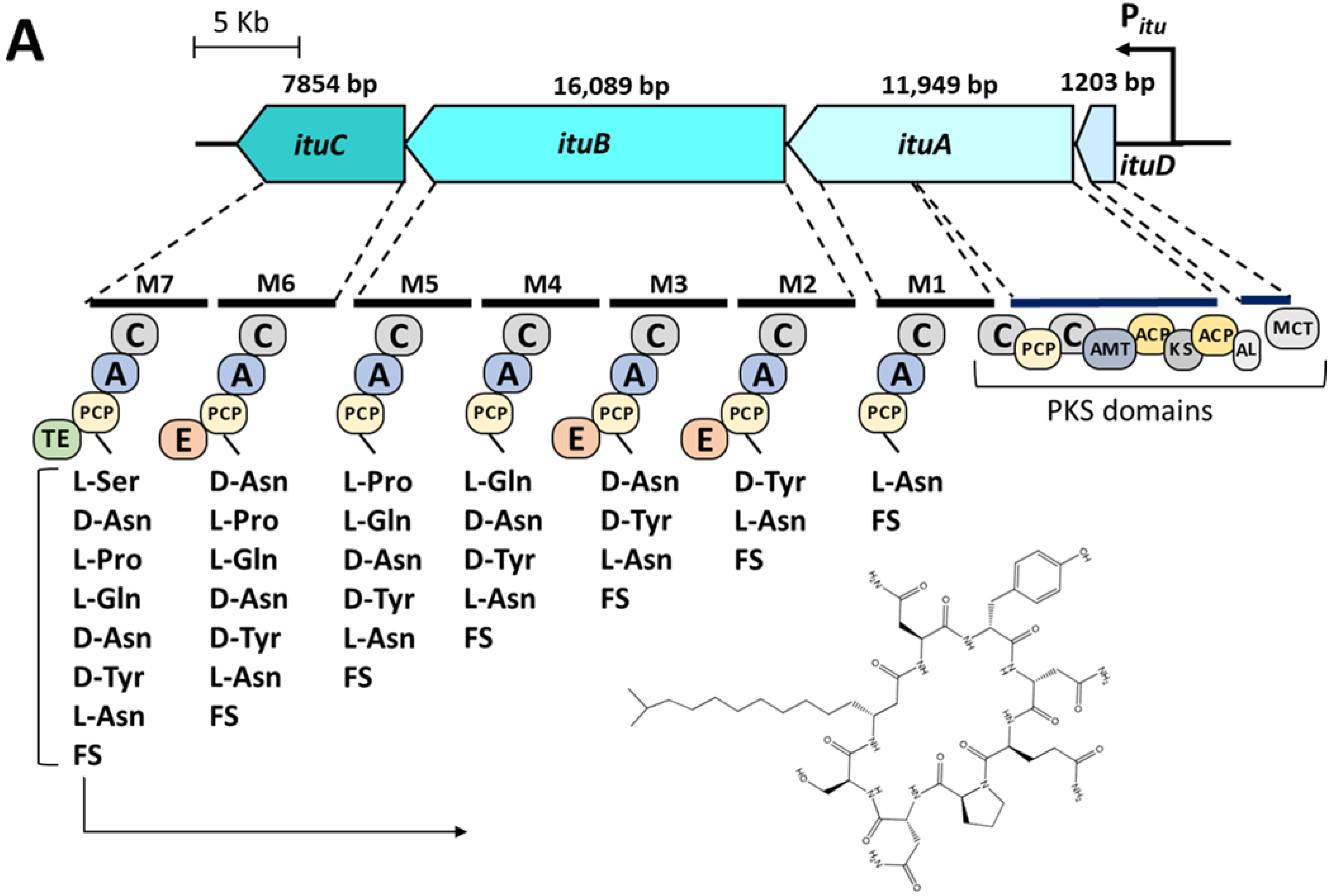 Microorganisms 10 02225 g001a