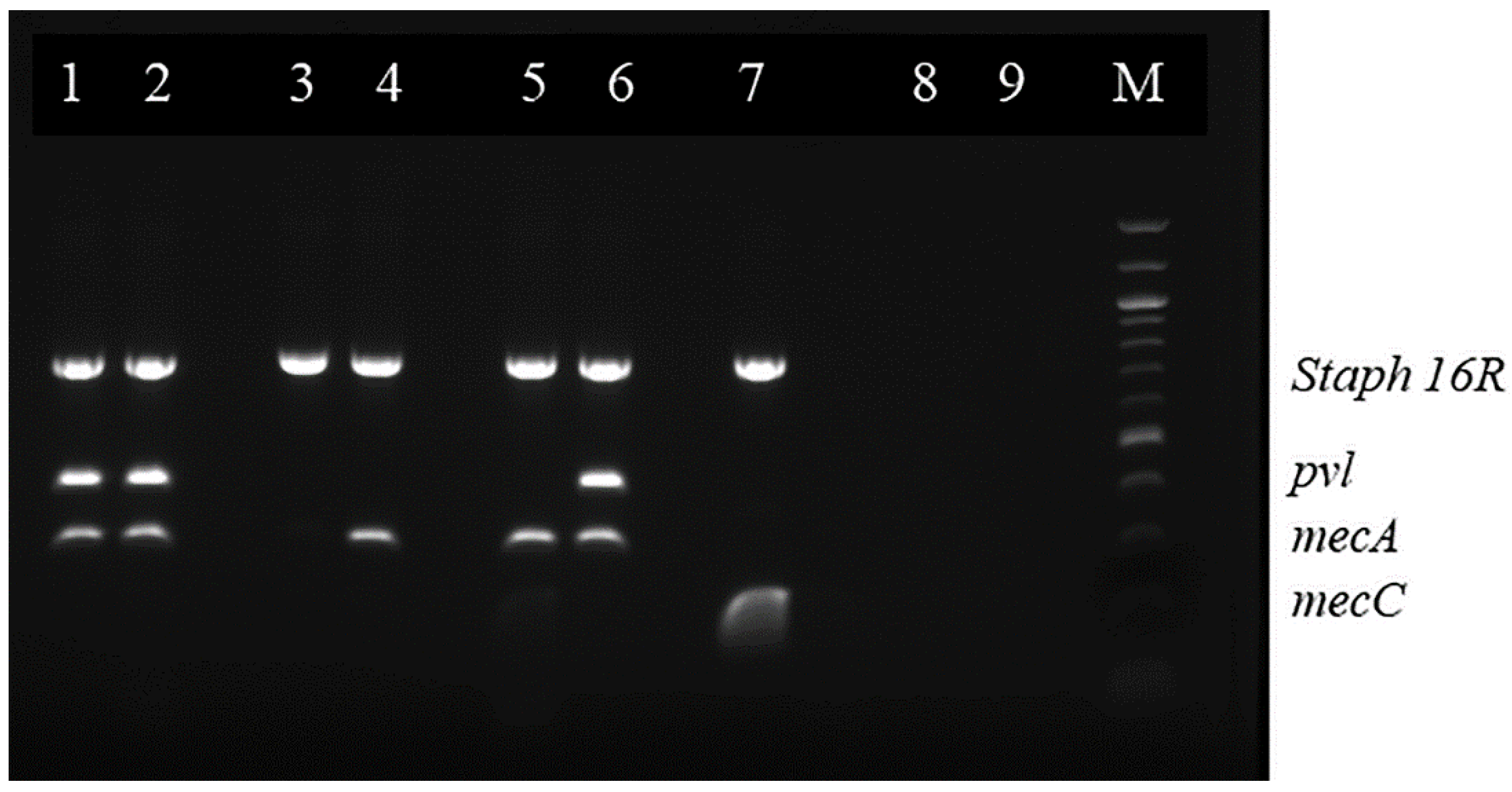Microorganisms 10 02239 g002