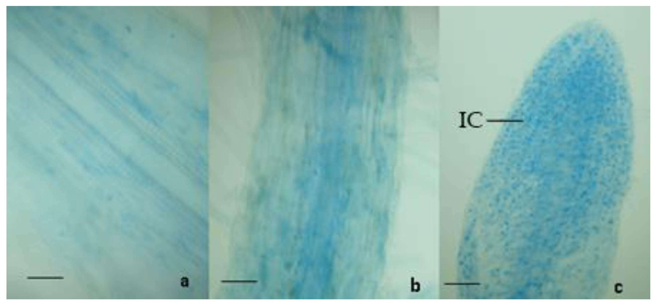 Microorganisms 10 02242 g002 Microorganisms 10 02242 g002