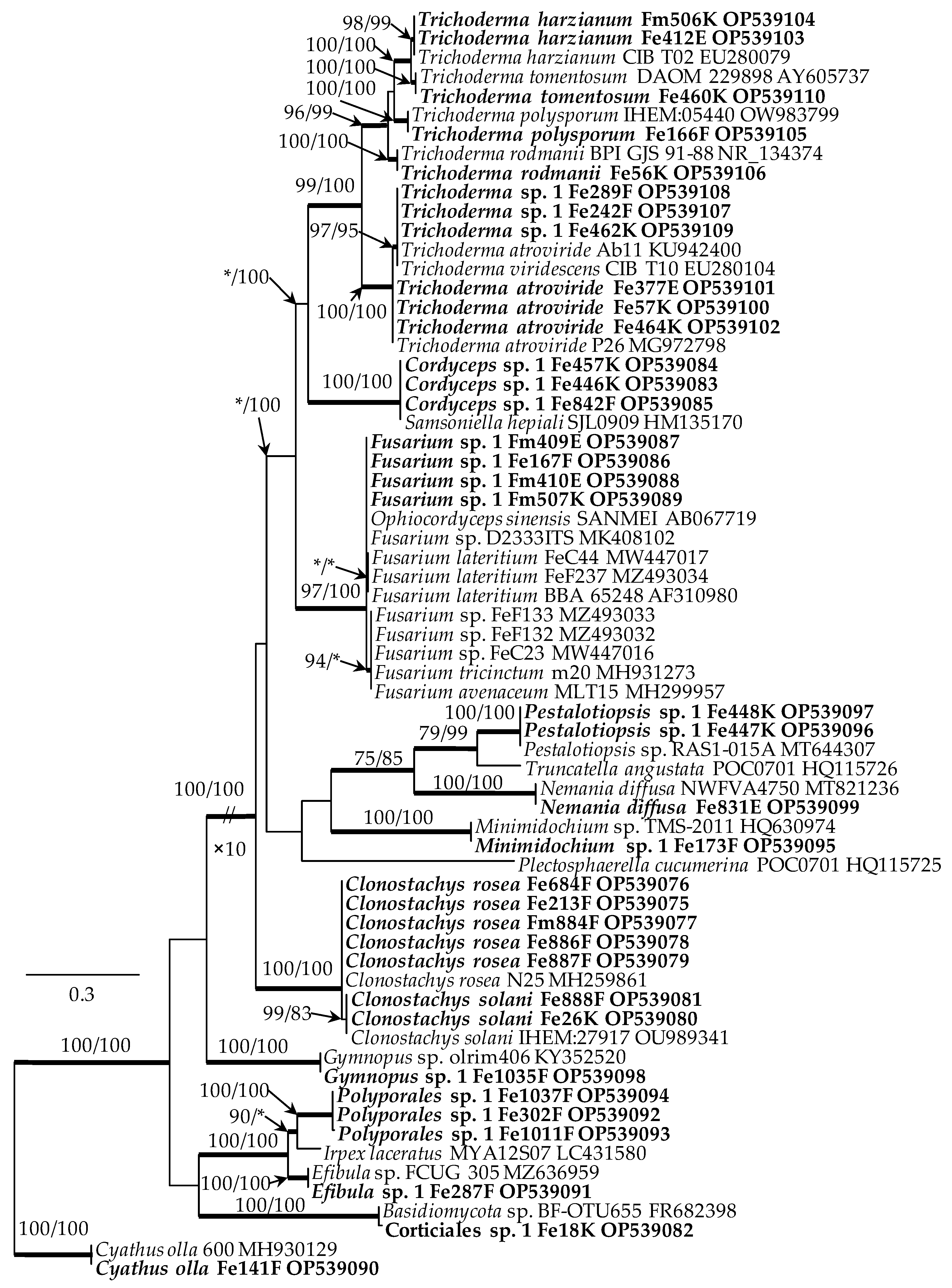 Microorganisms 10 02250 g003