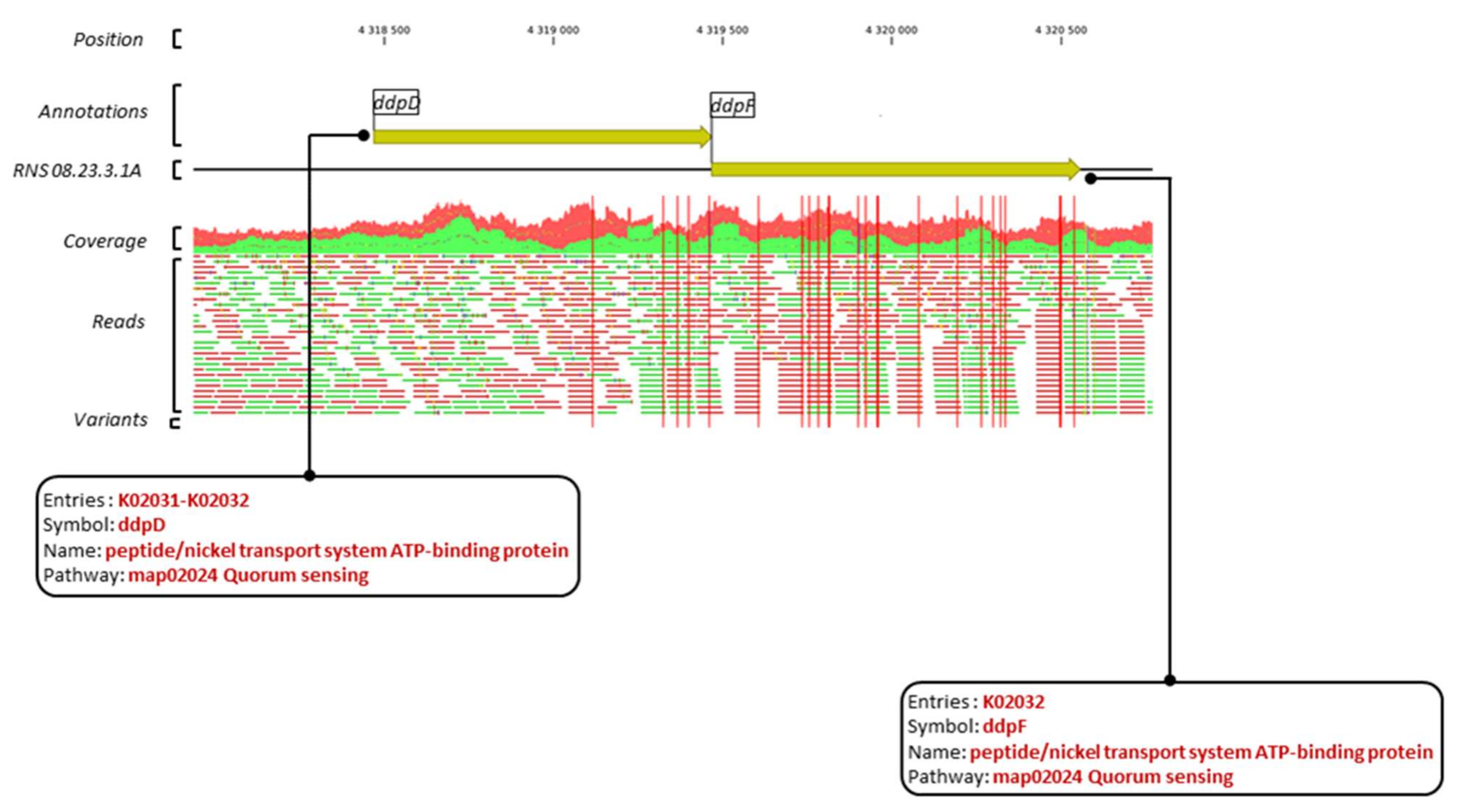 Microorganisms 10 02254 g007