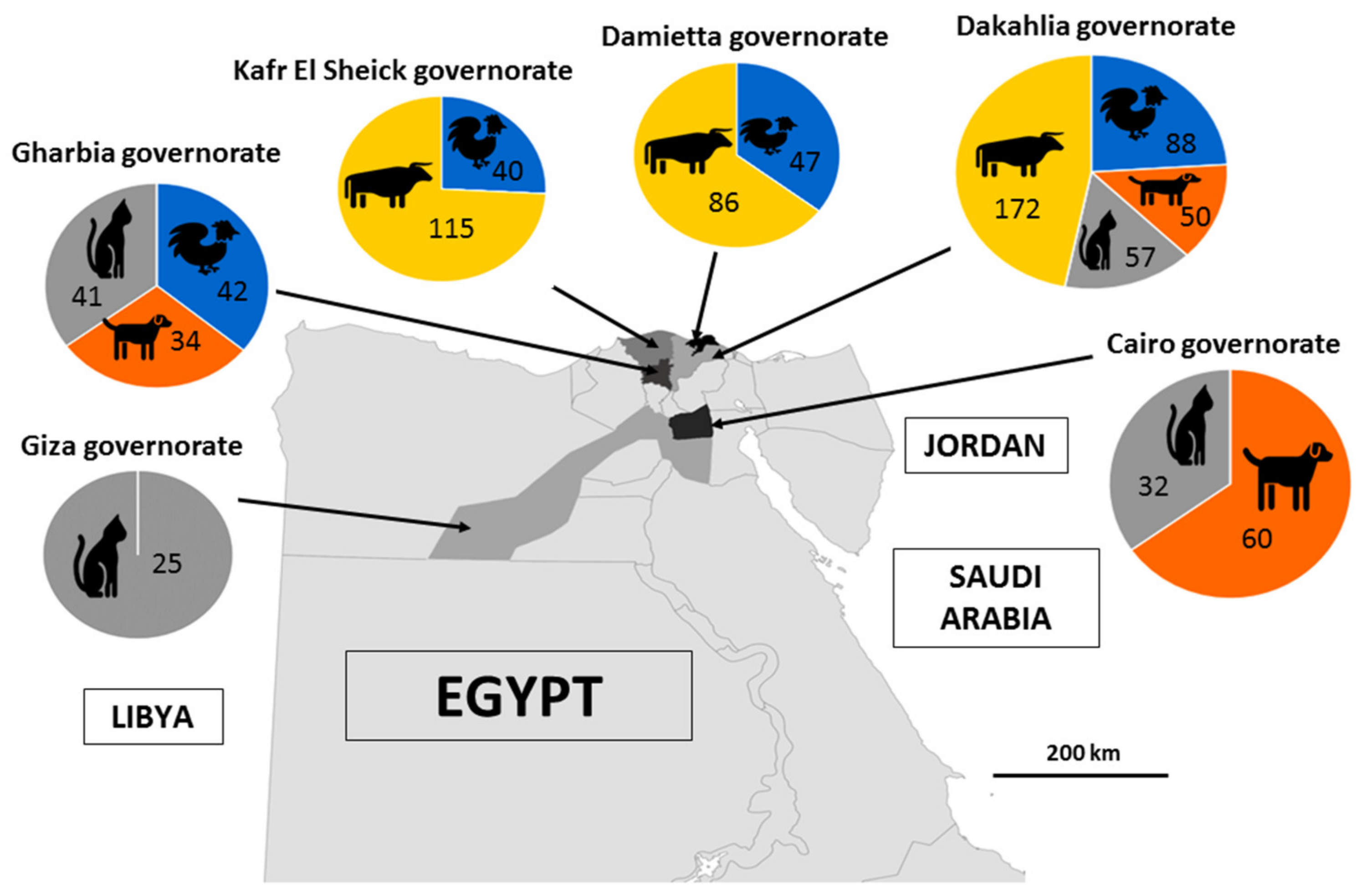 Microorganisms 10 02259 g001