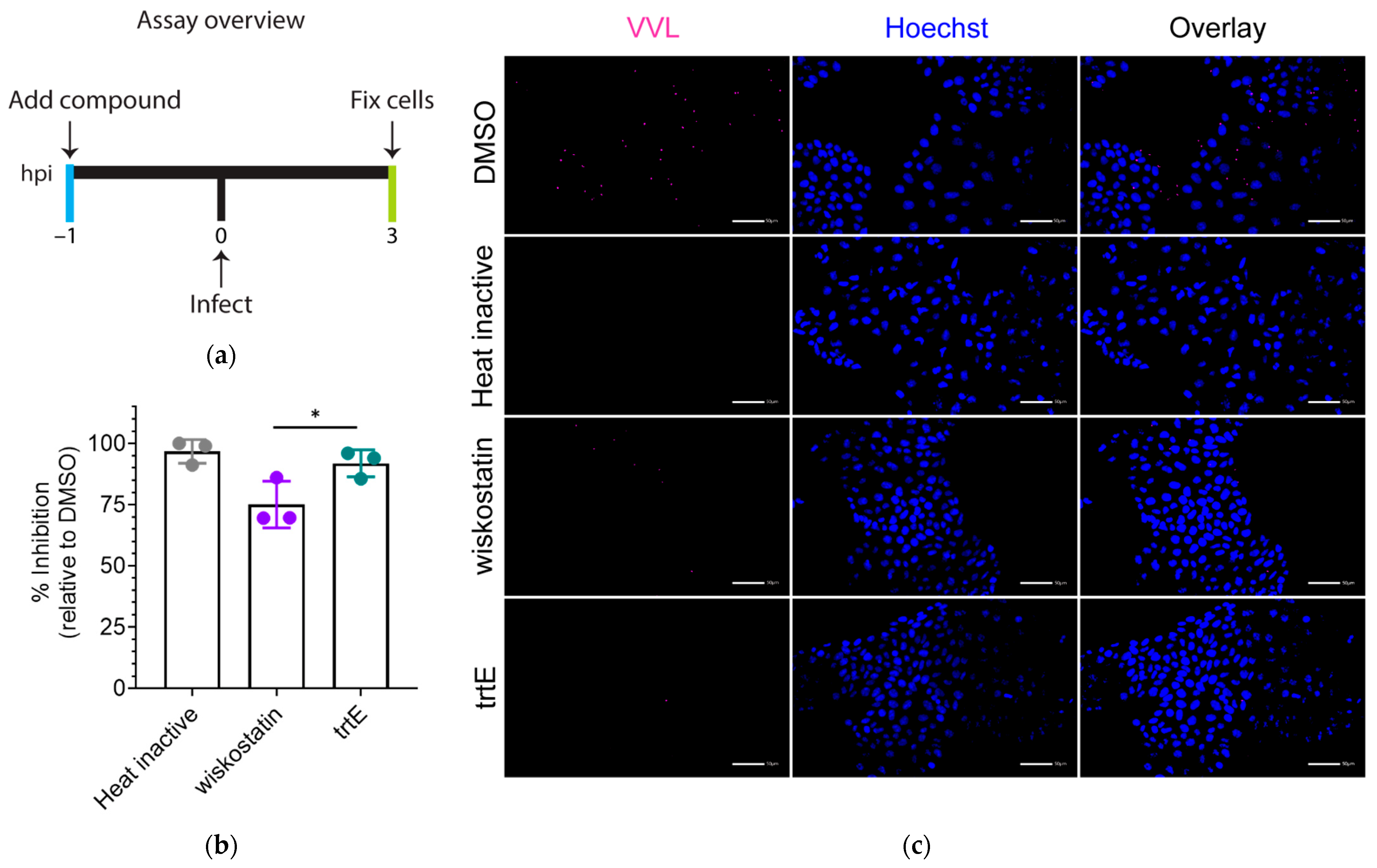 Microorganisms 10 02260 g003