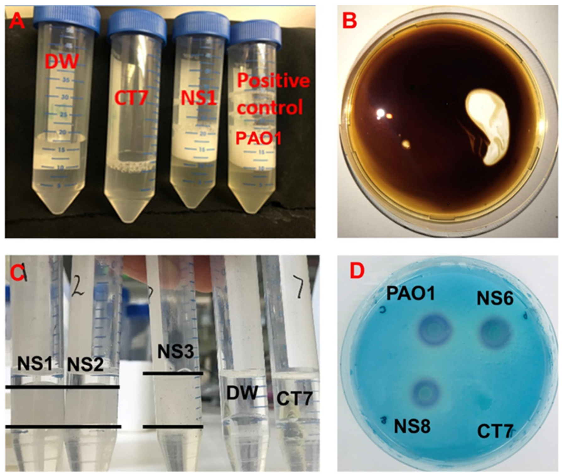 Microorganisms 10 02267 g001