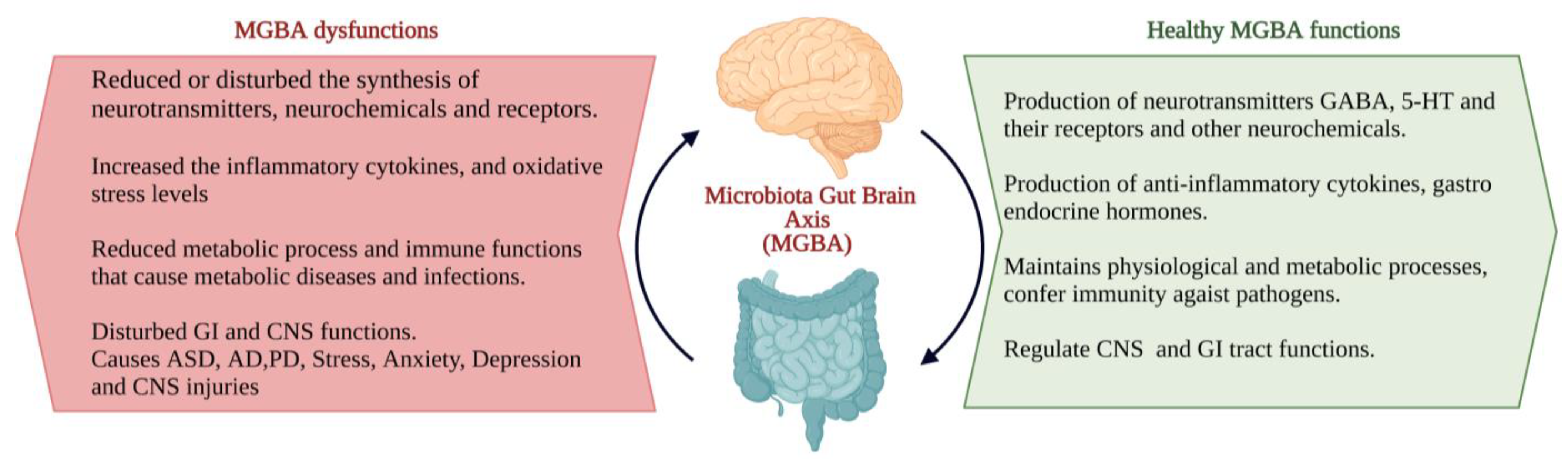 Microorganisms 10 02268 g002