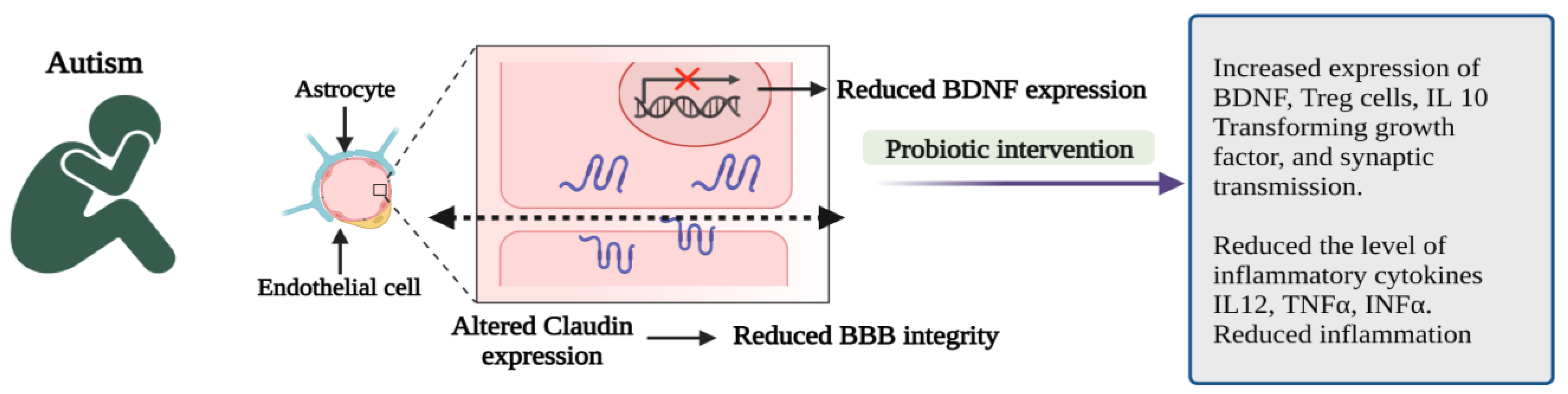 Microorganisms 10 02268 g003